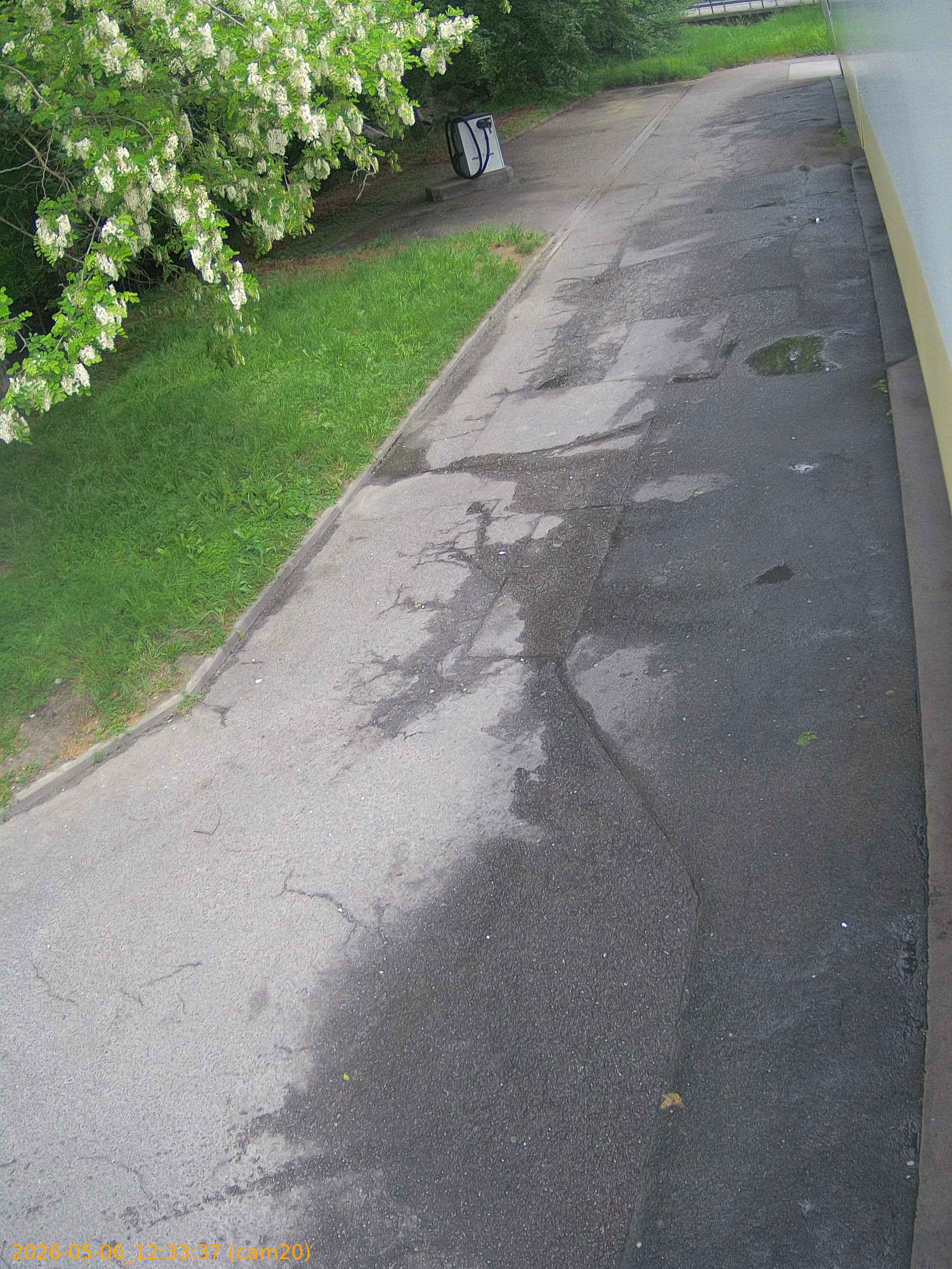 thumbnail_20260506123337
