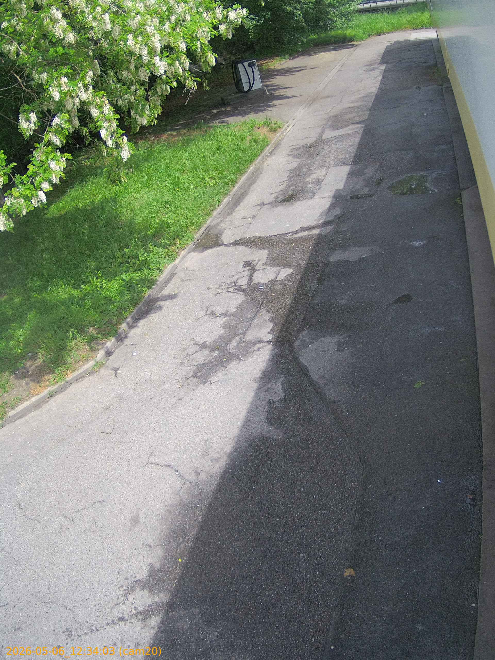 thumbnail_20260506123403