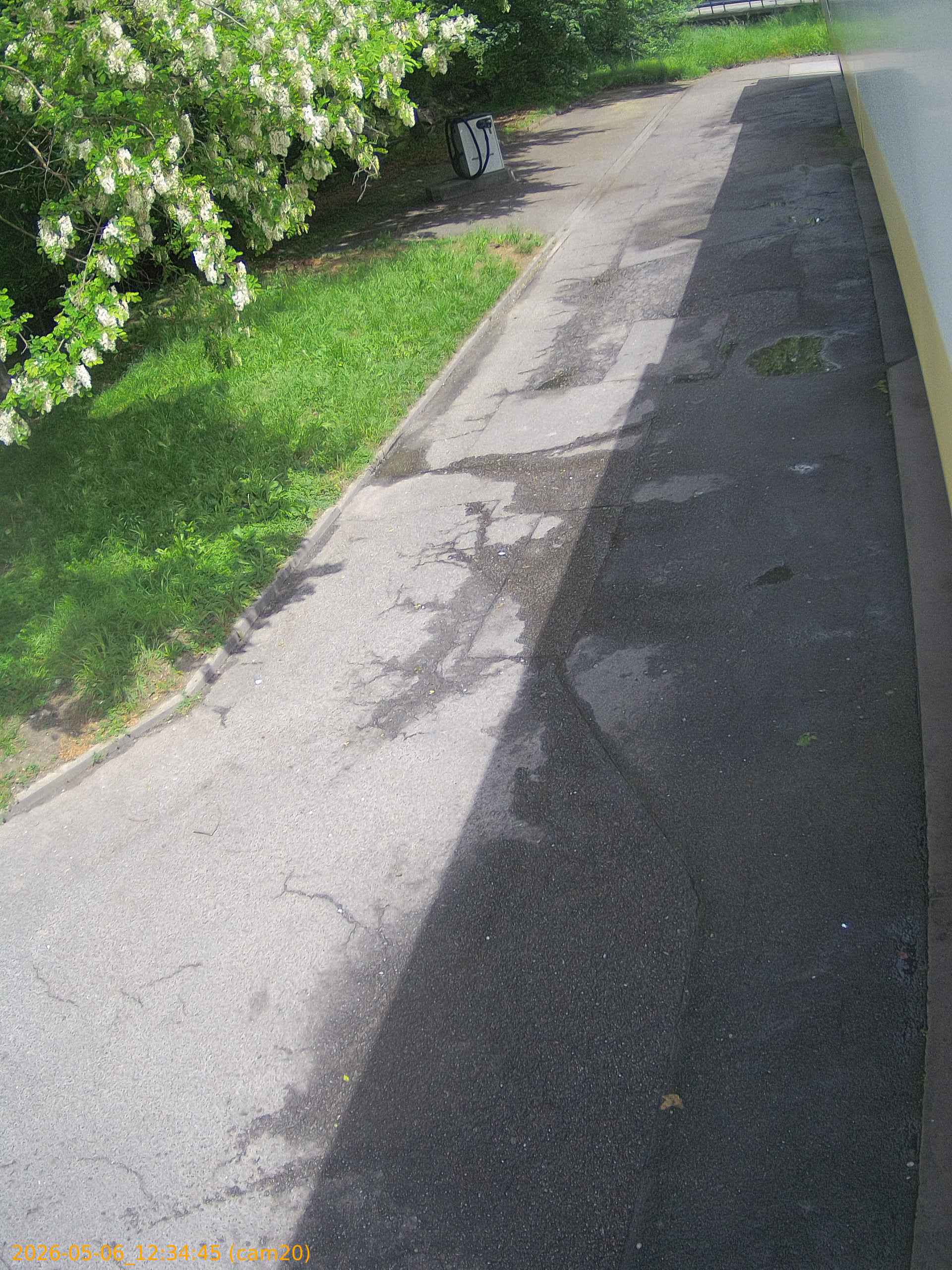 thumbnail_20260506123445