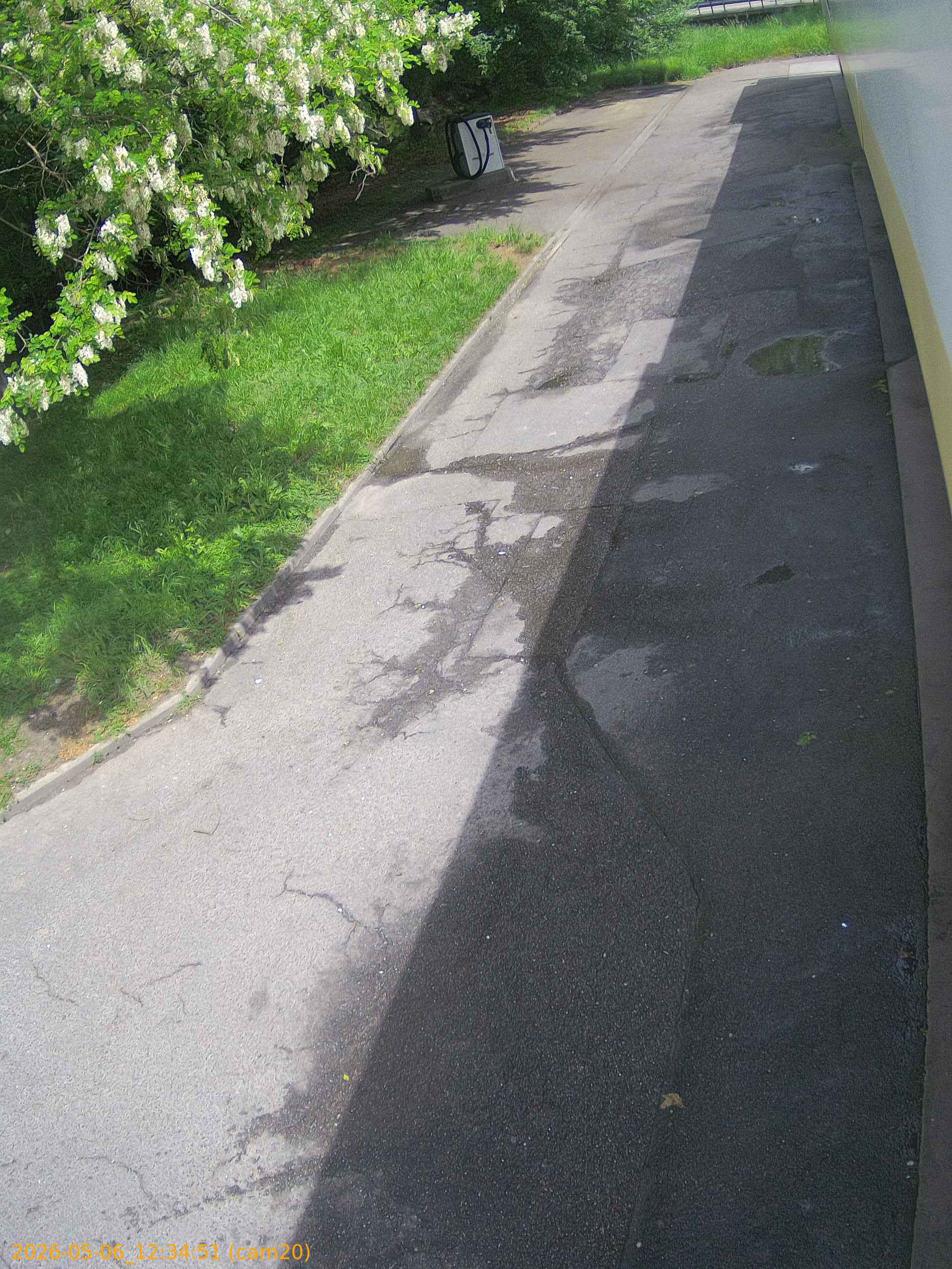 thumbnail_20260506123451
