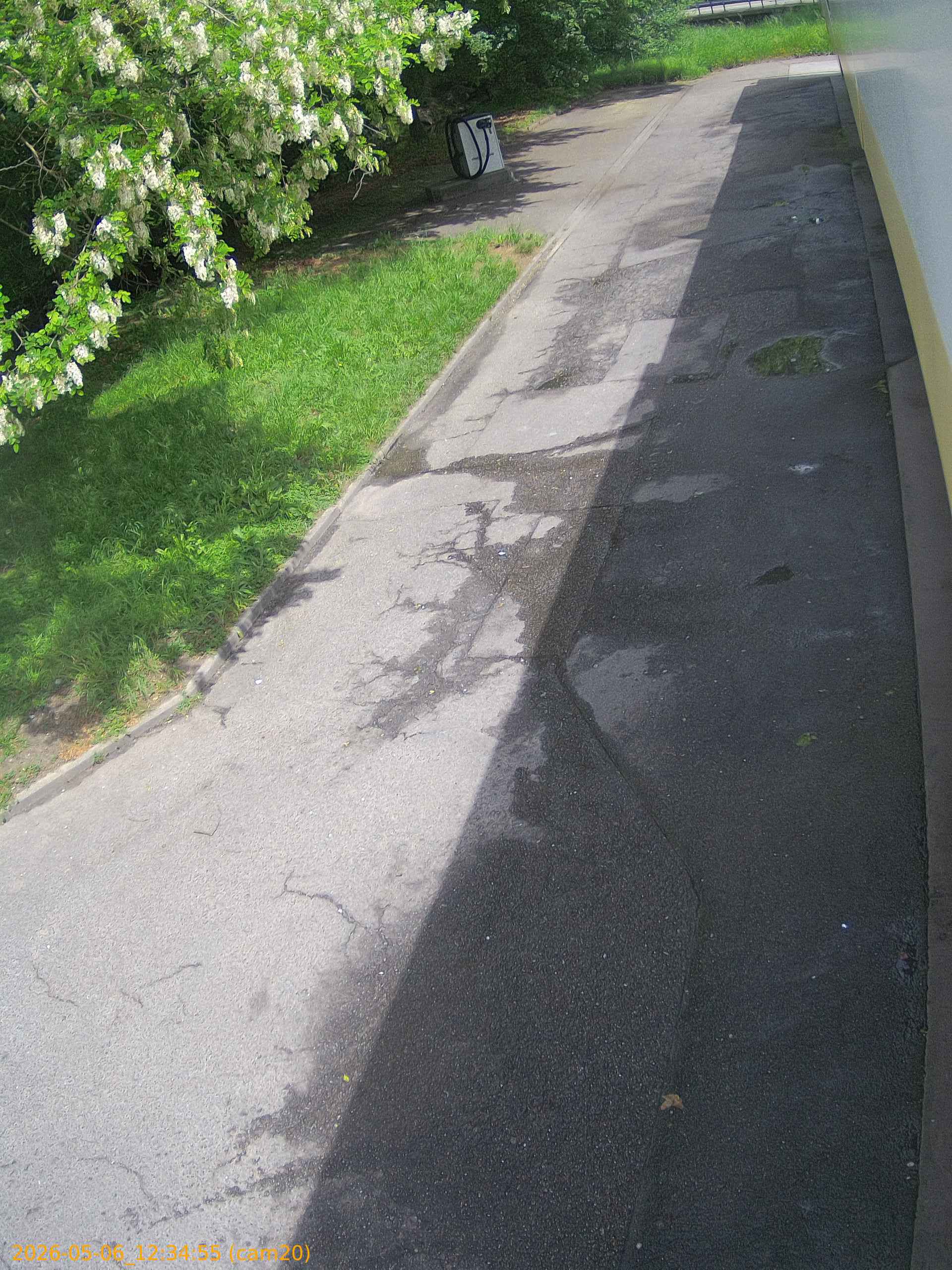thumbnail_20260506123455