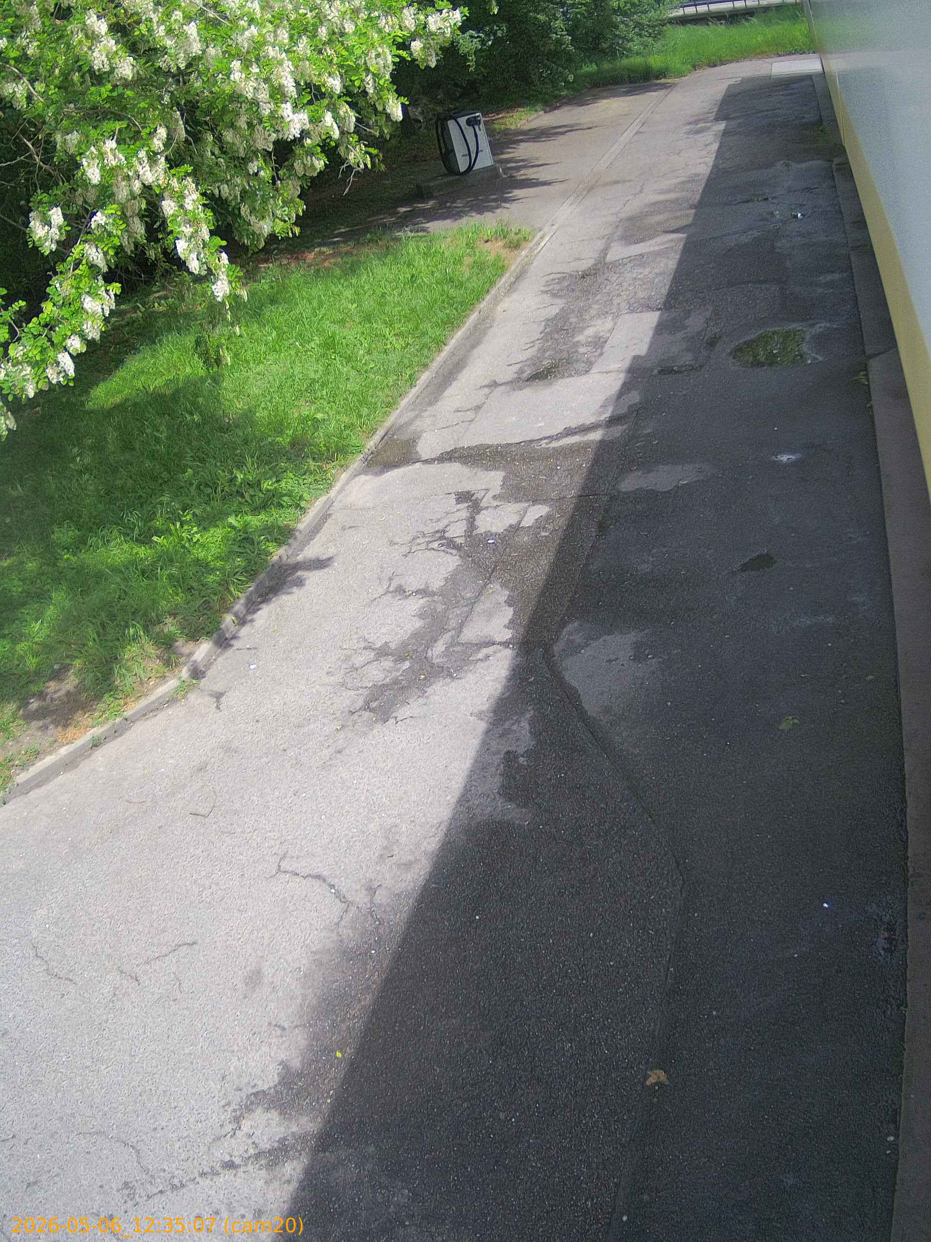 thumbnail_20260506123507