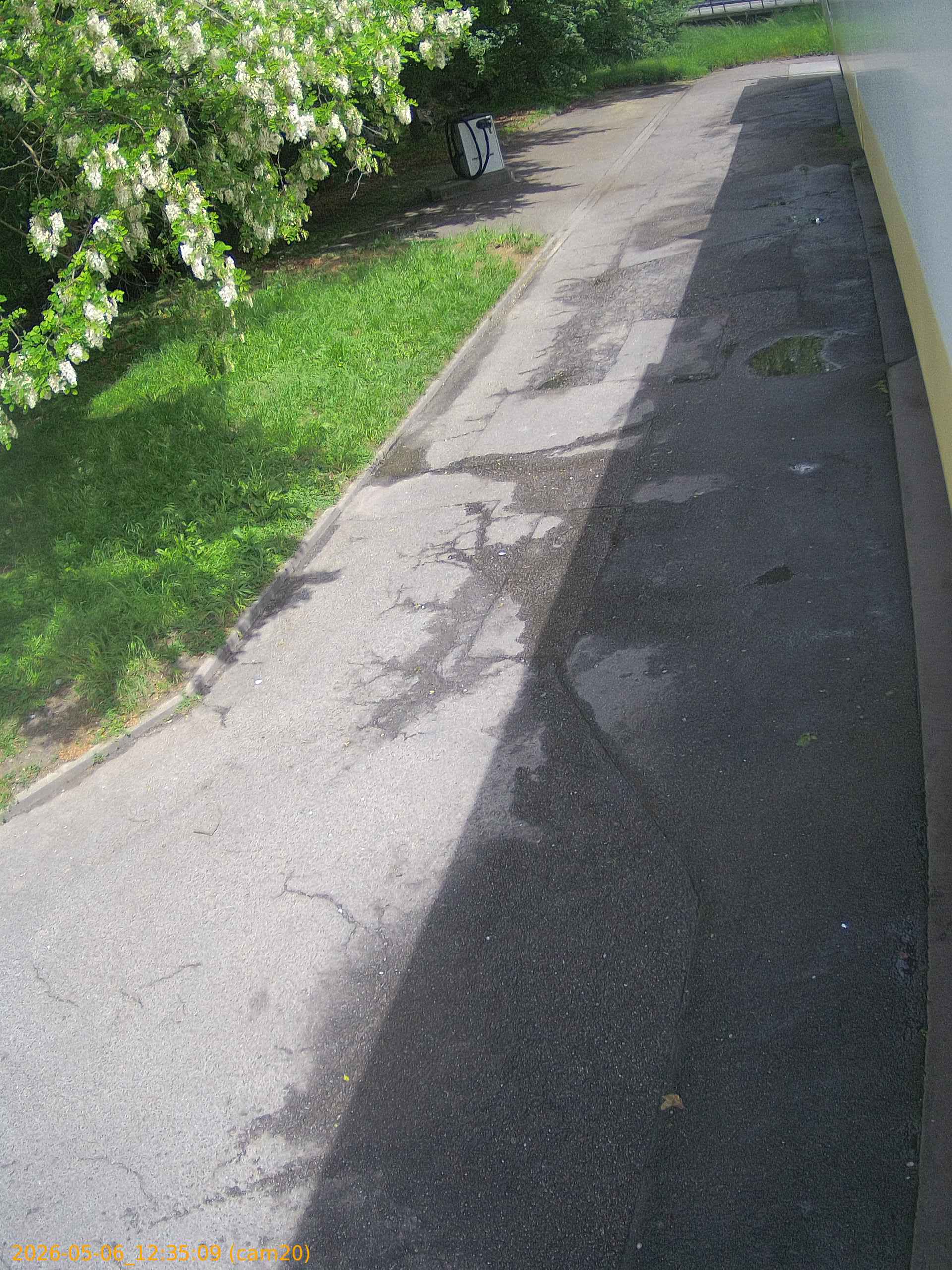 thumbnail_20260506123509