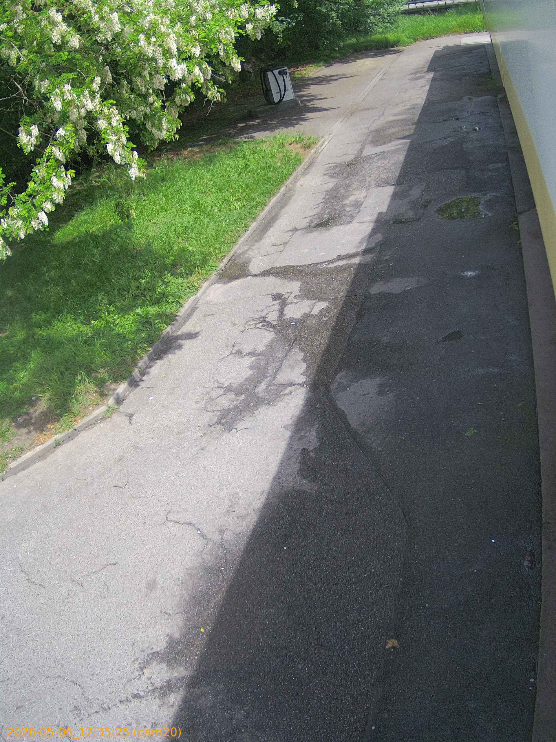 thumbnail_20260506123525