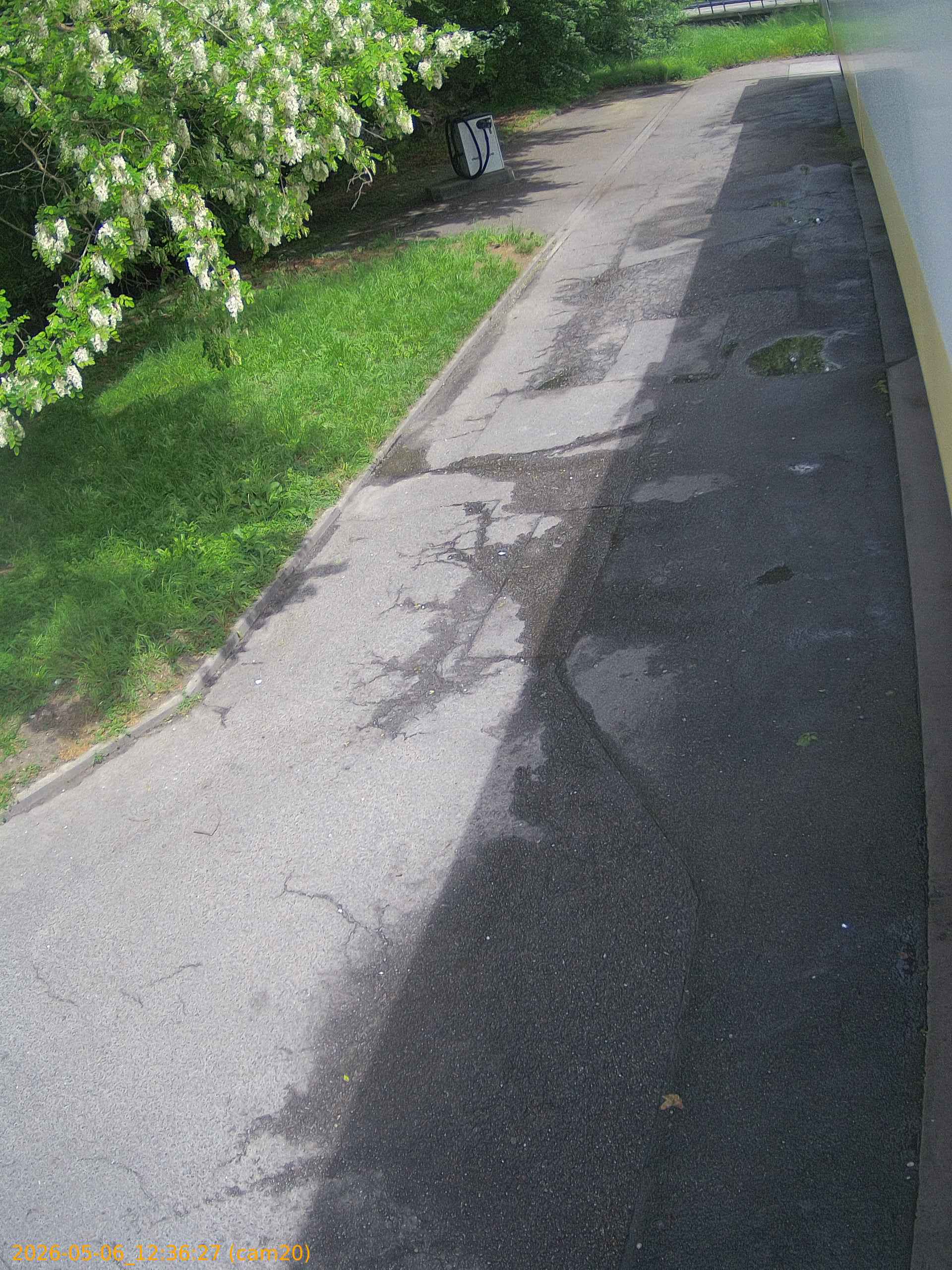 thumbnail_20260506123627