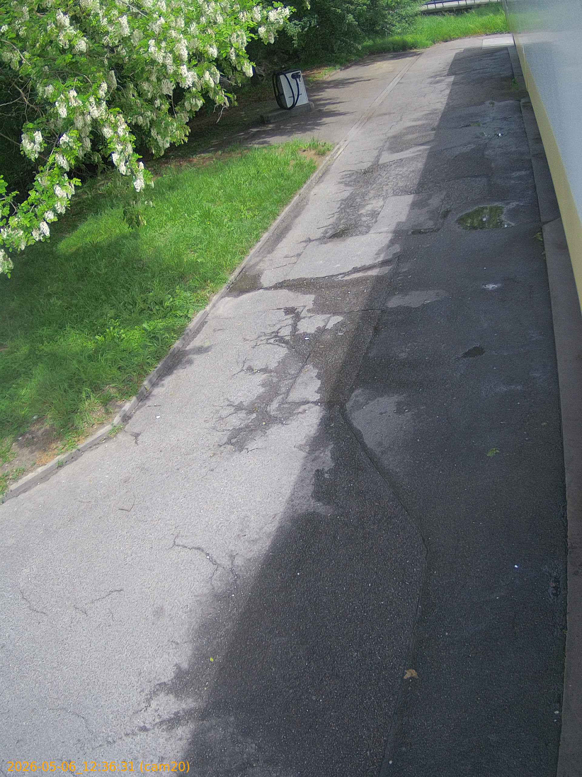 thumbnail_20260506123631