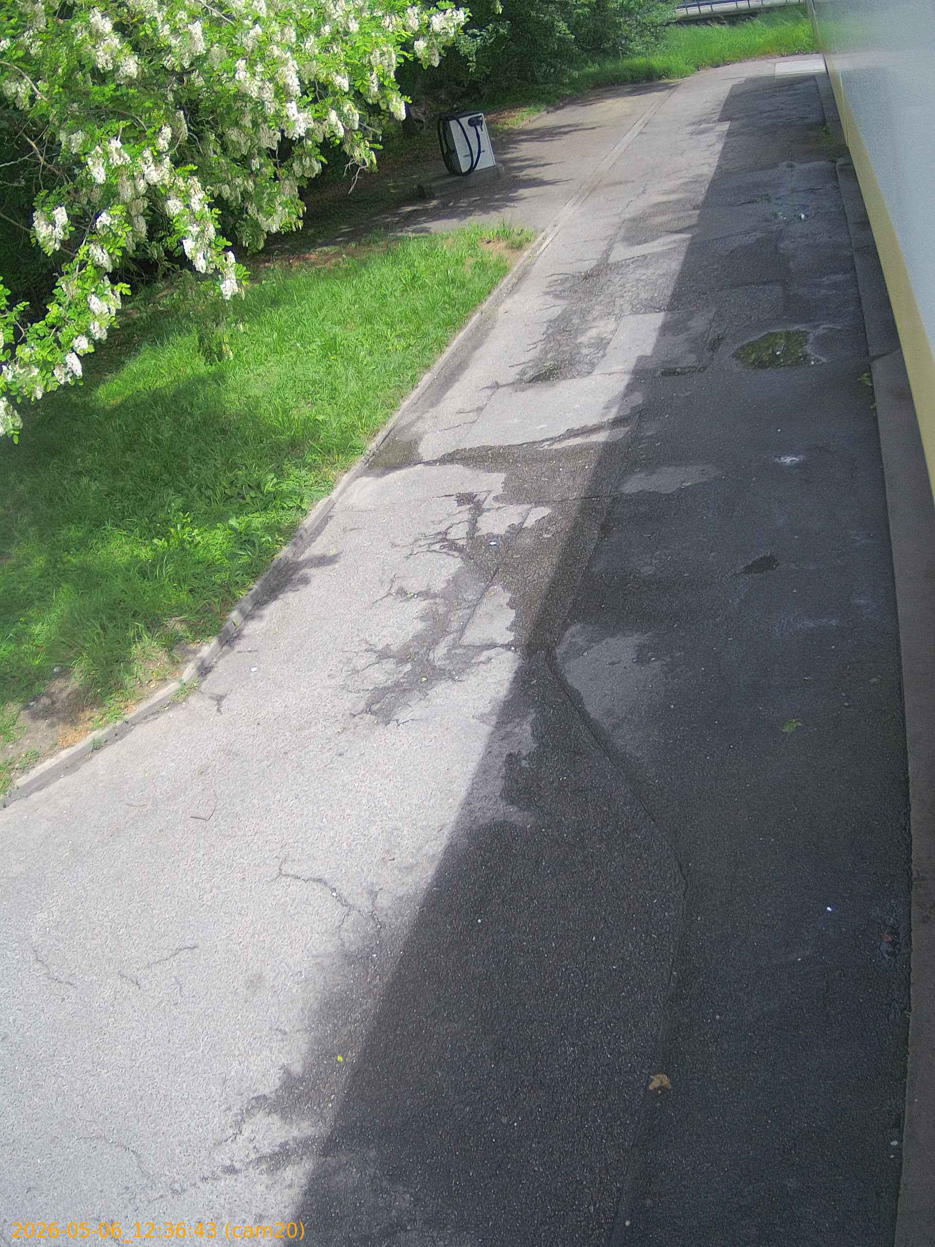 thumbnail_20260506123643