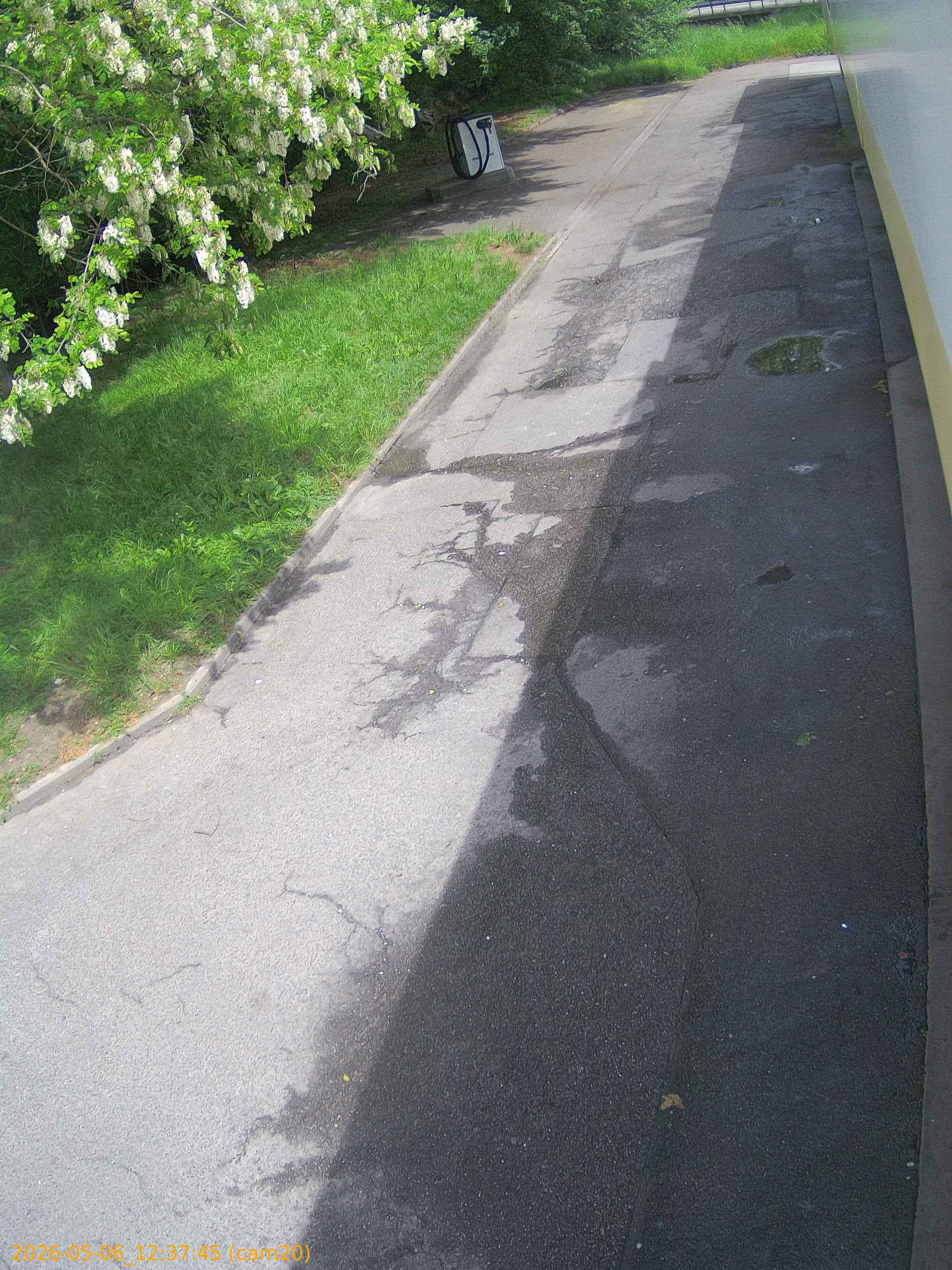 thumbnail_20260506123745