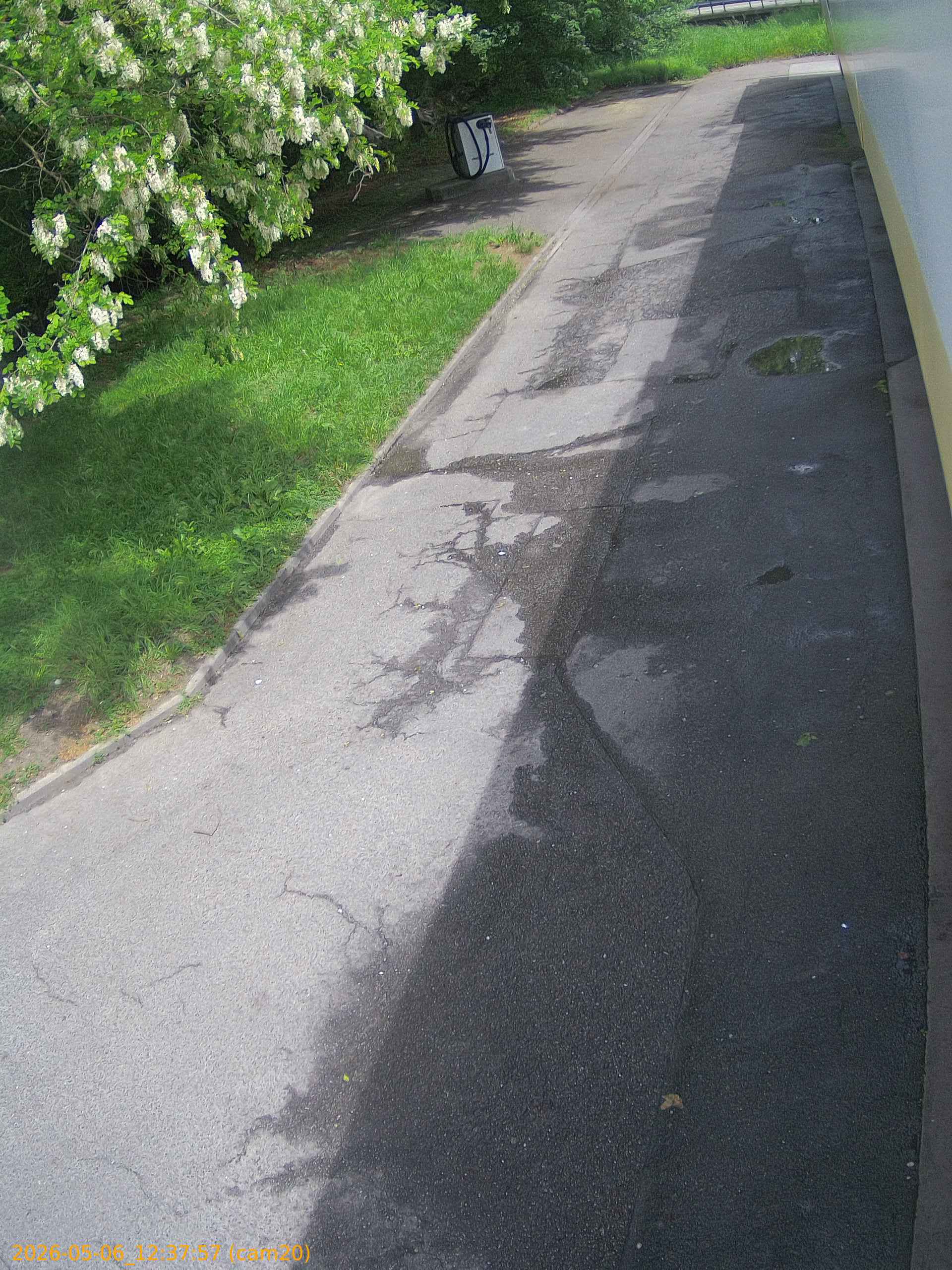 thumbnail_20260506123757