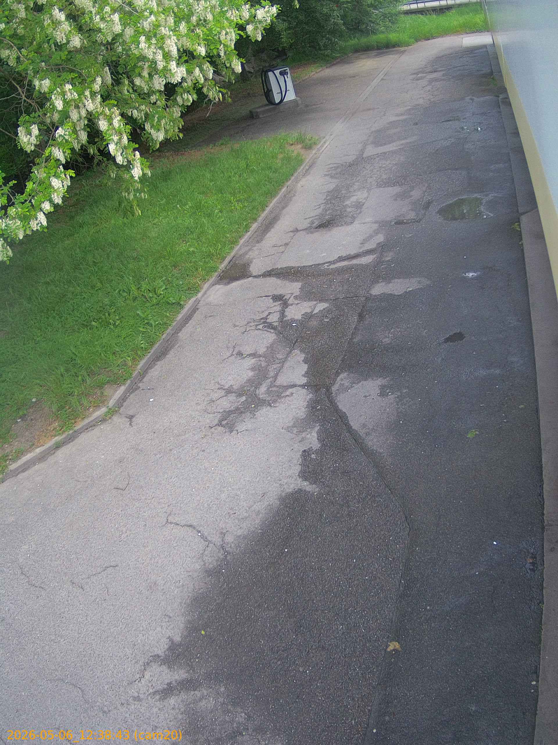 thumbnail_20260506123843
