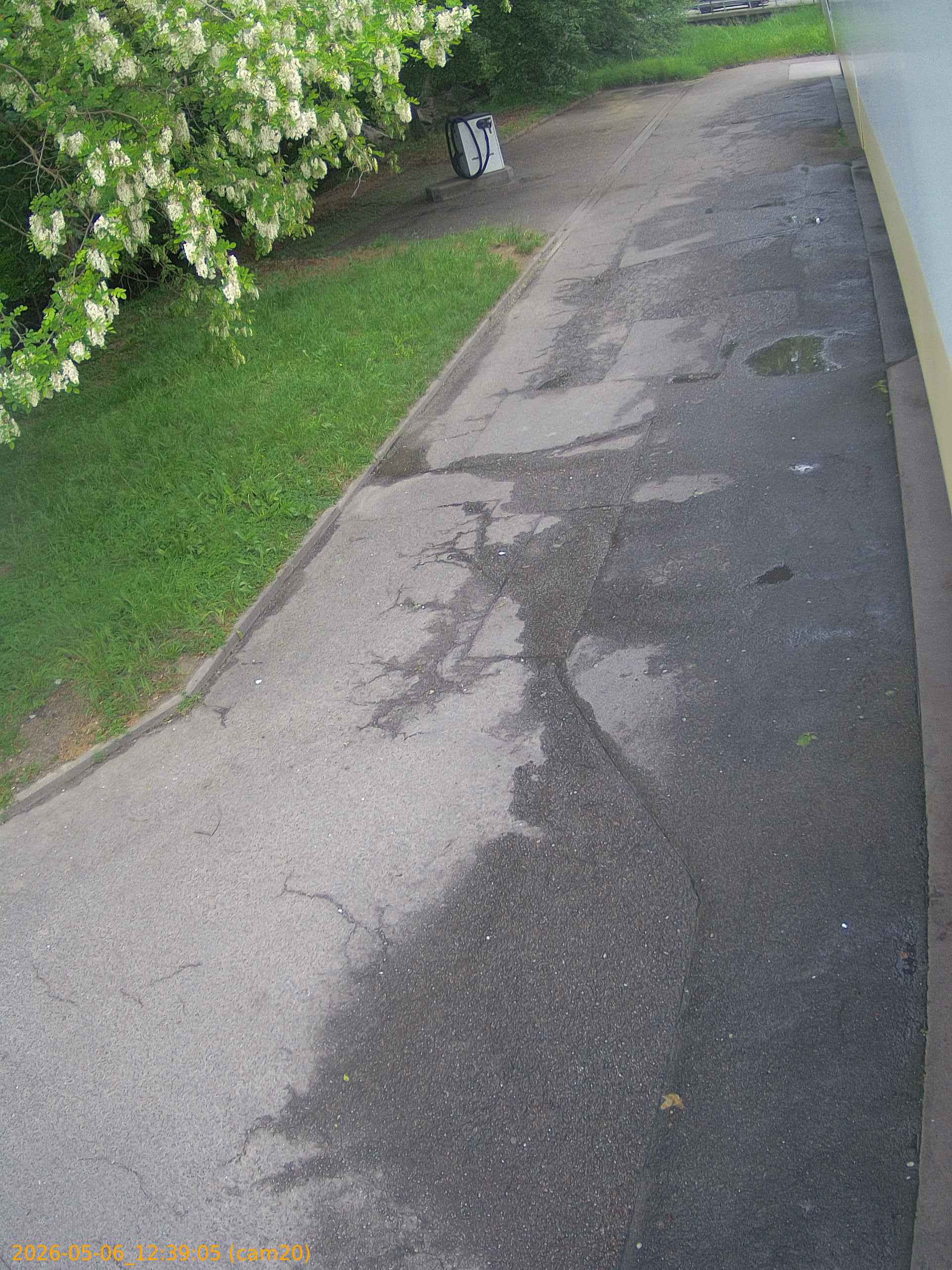 thumbnail_20260506123905