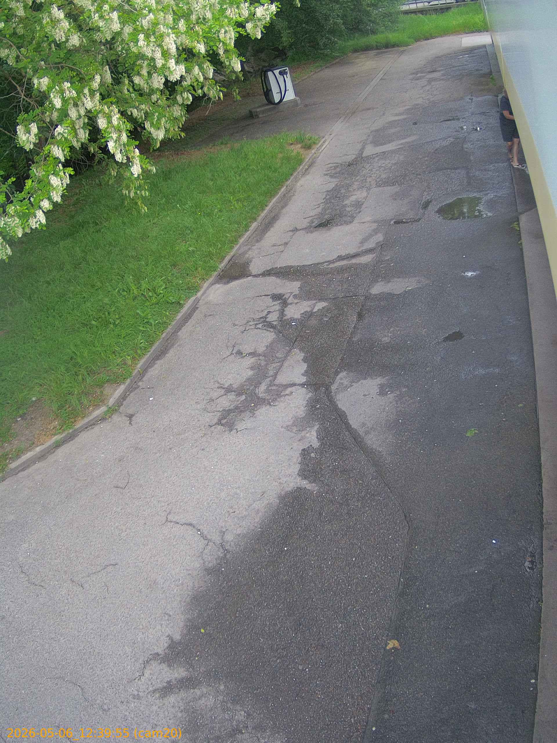 thumbnail_20260506123955