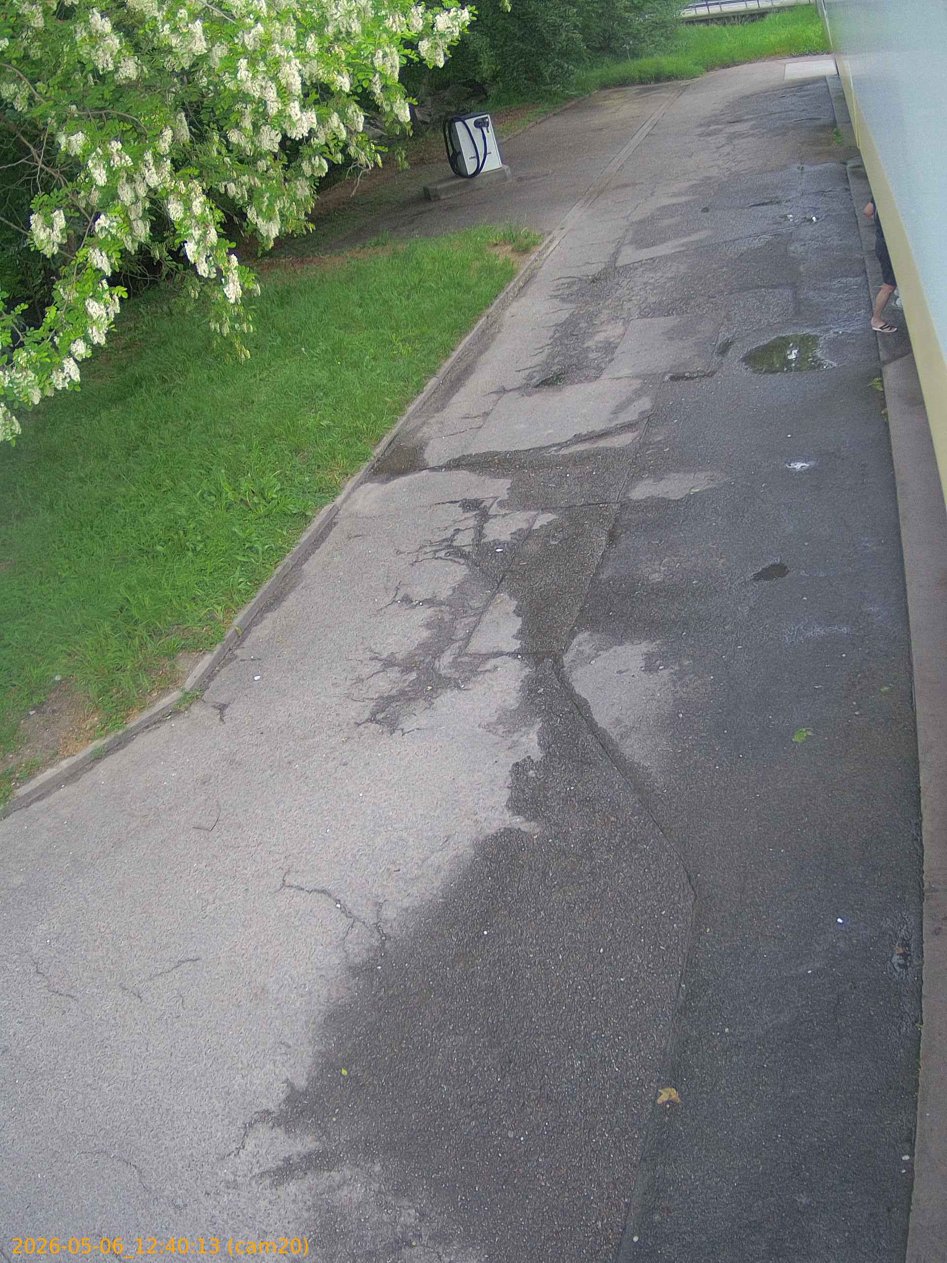 thumbnail_20260506124013