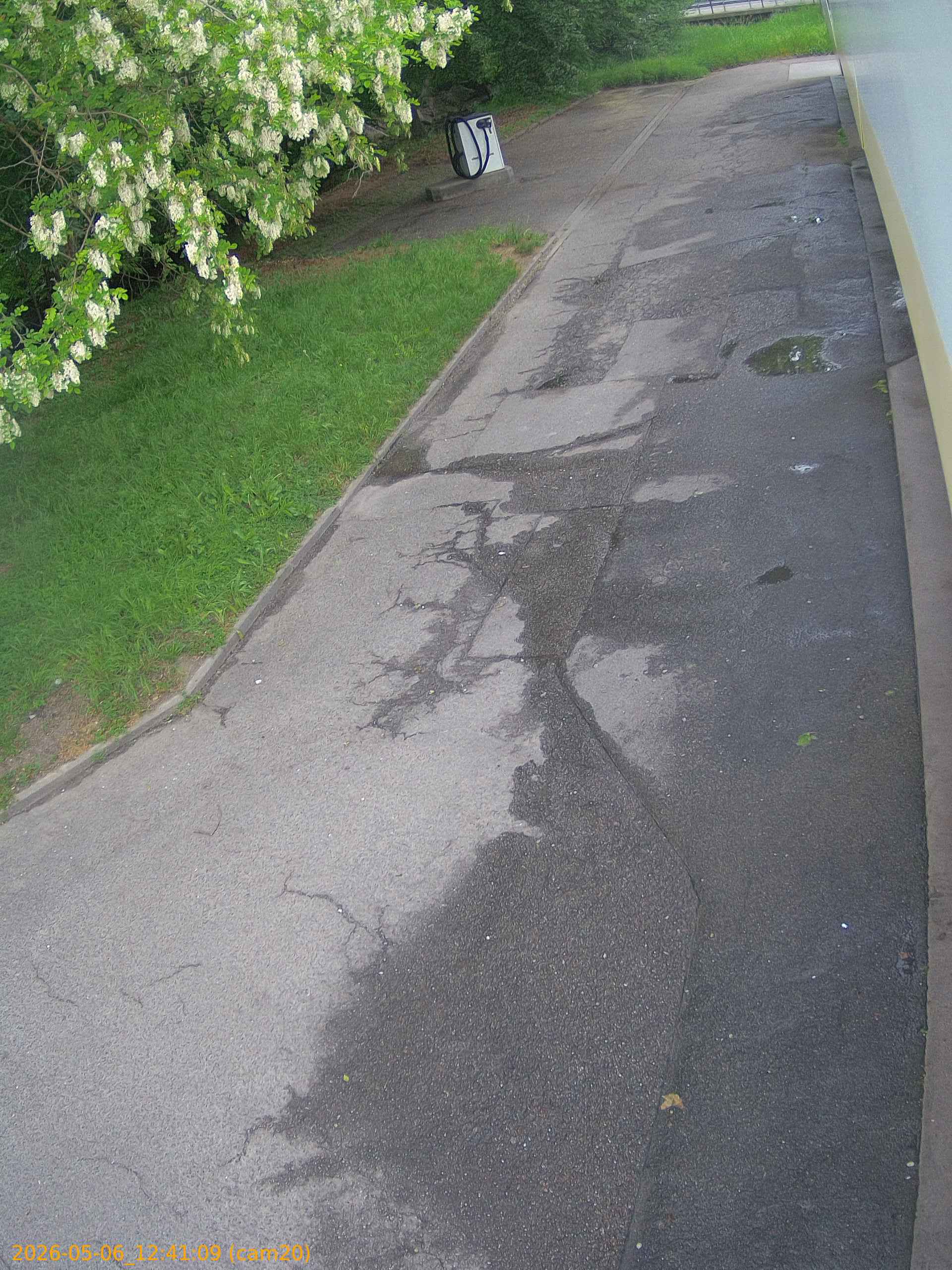 thumbnail_20260506124109