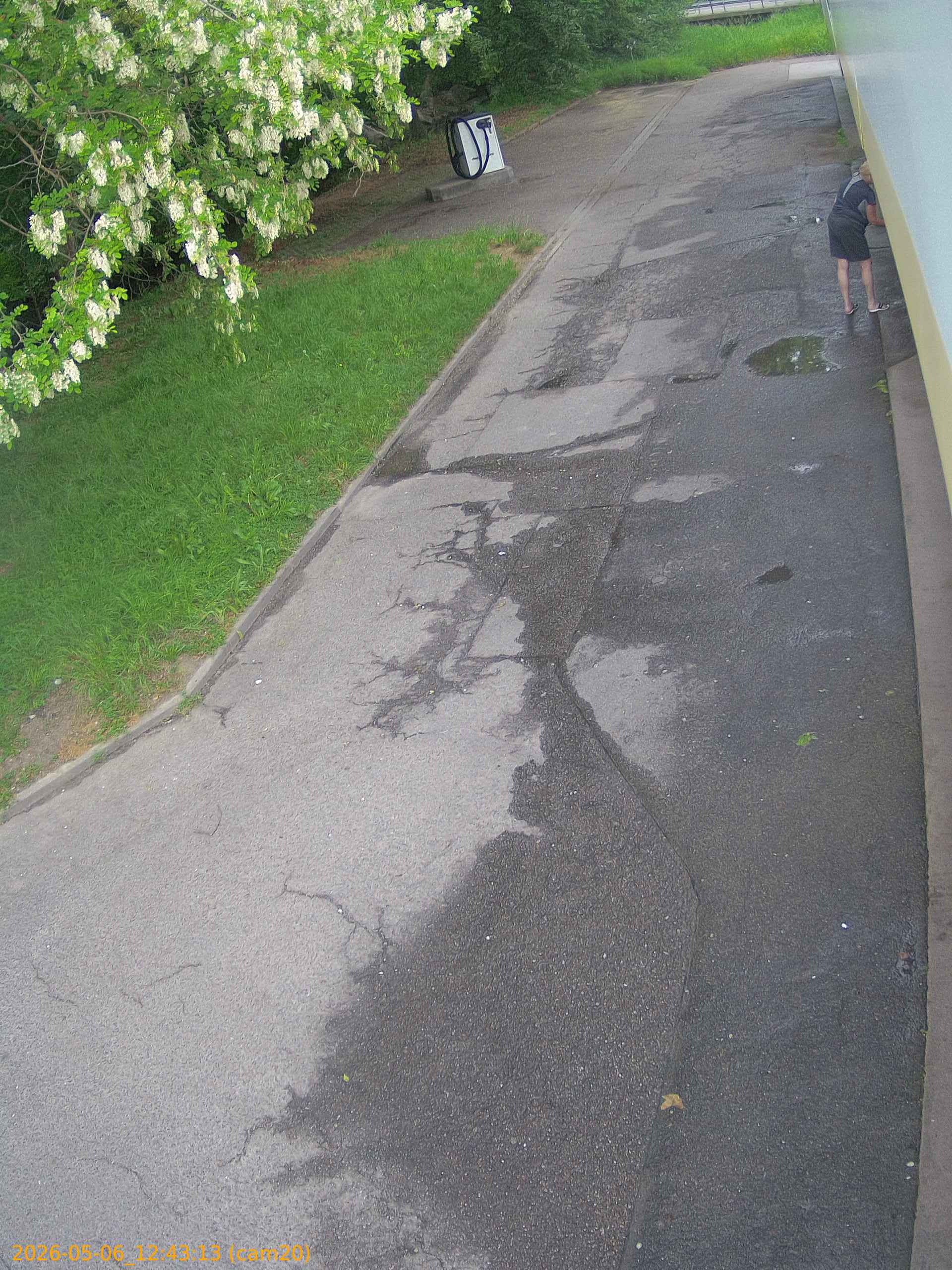 thumbnail_20260506124313
