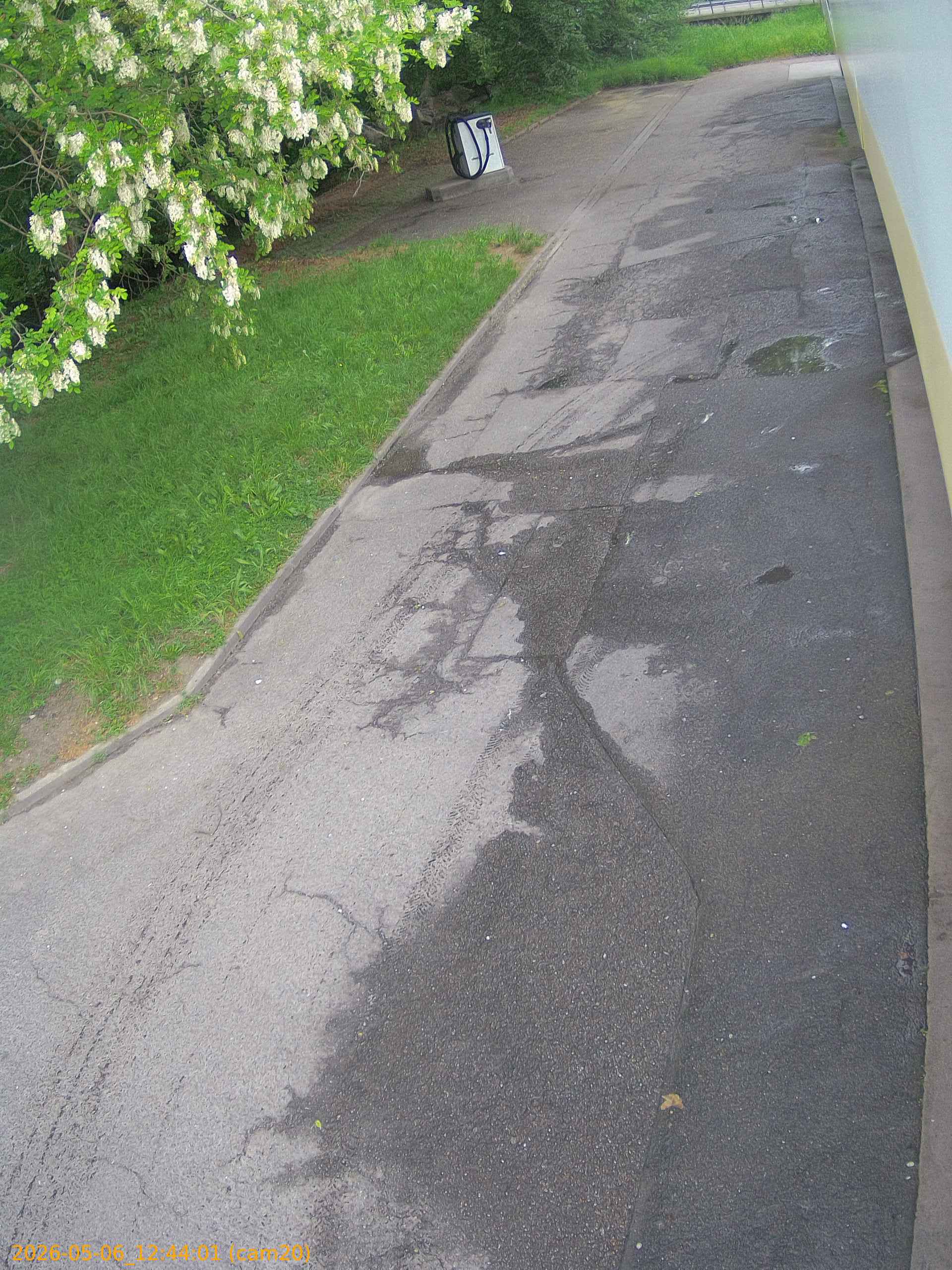 thumbnail_20260506124401