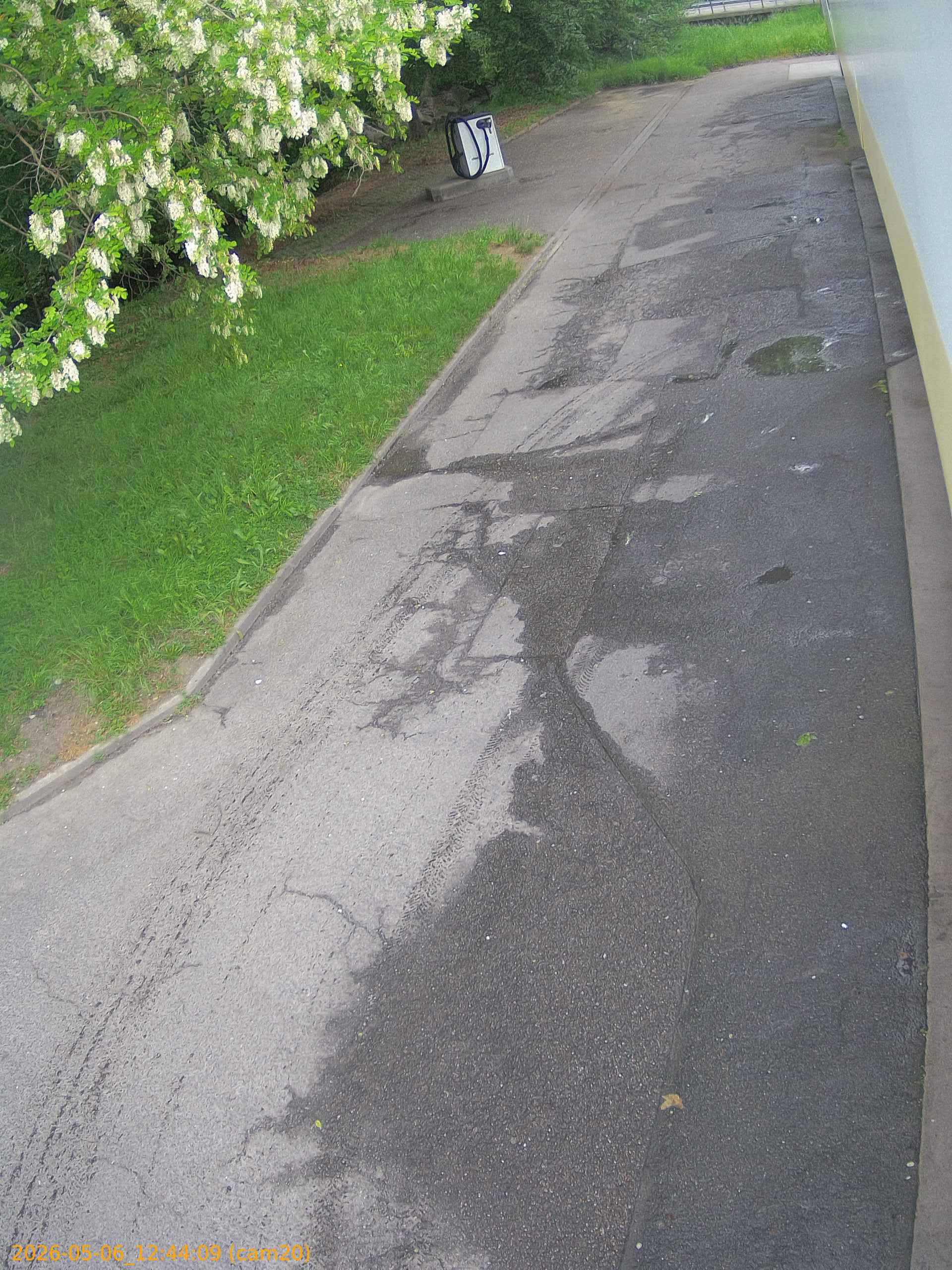 thumbnail_20260506124409