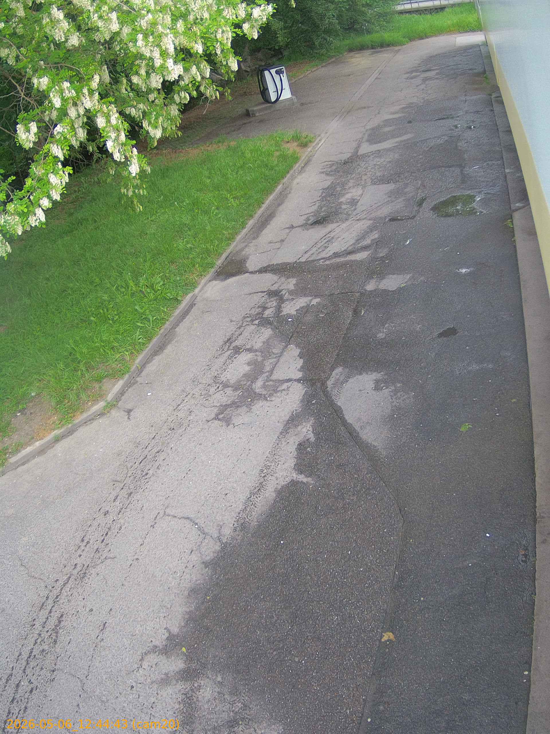 thumbnail_20260506124443
