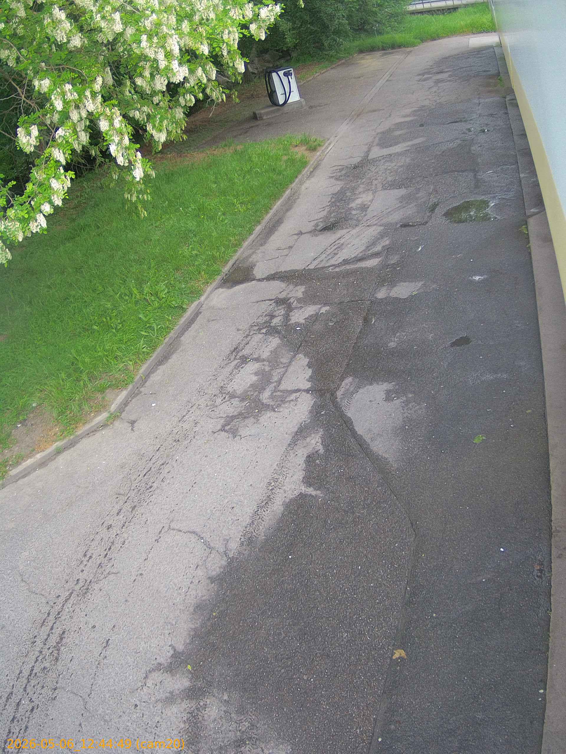 thumbnail_20260506124449