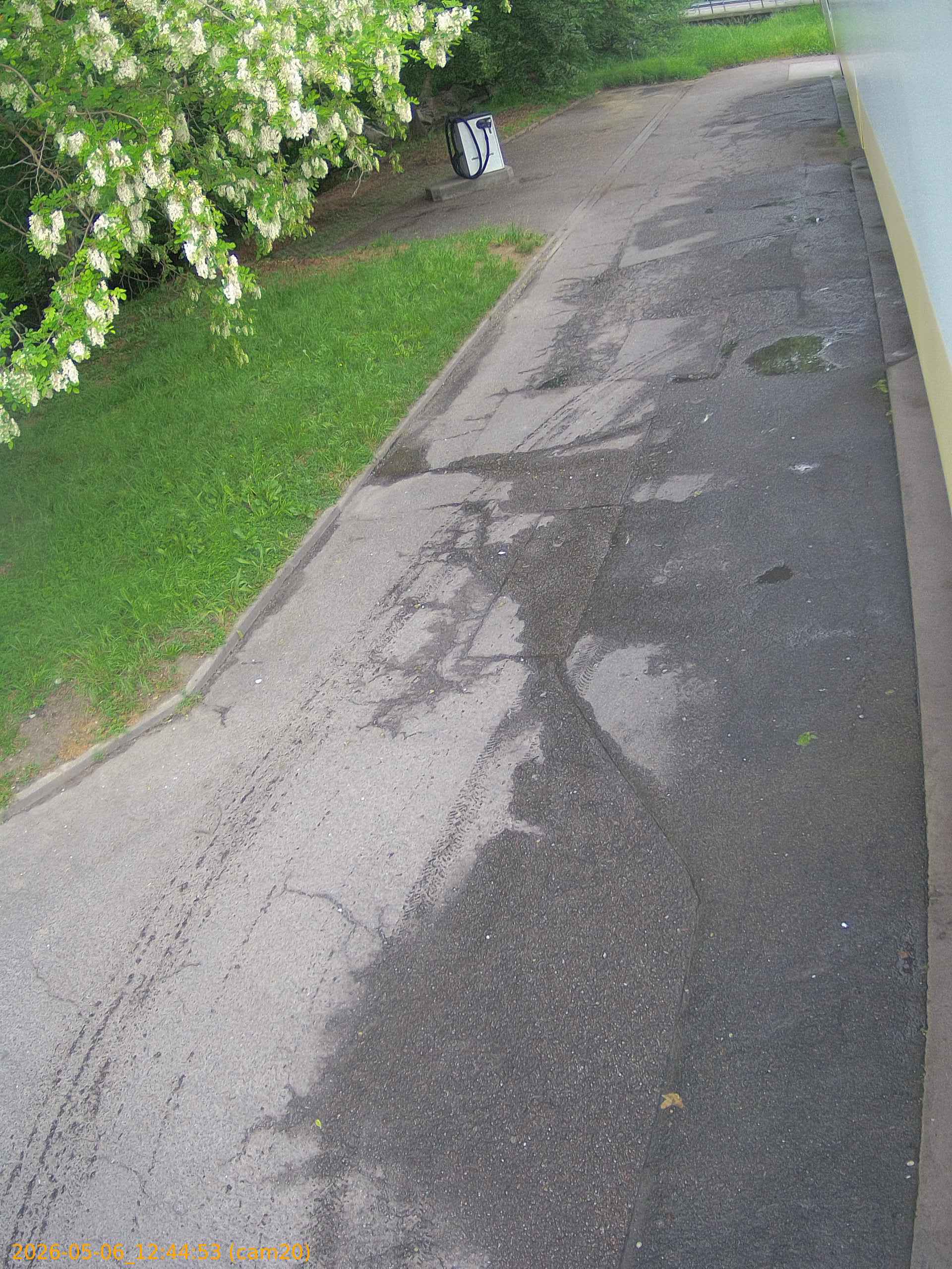 thumbnail_20260506124453
