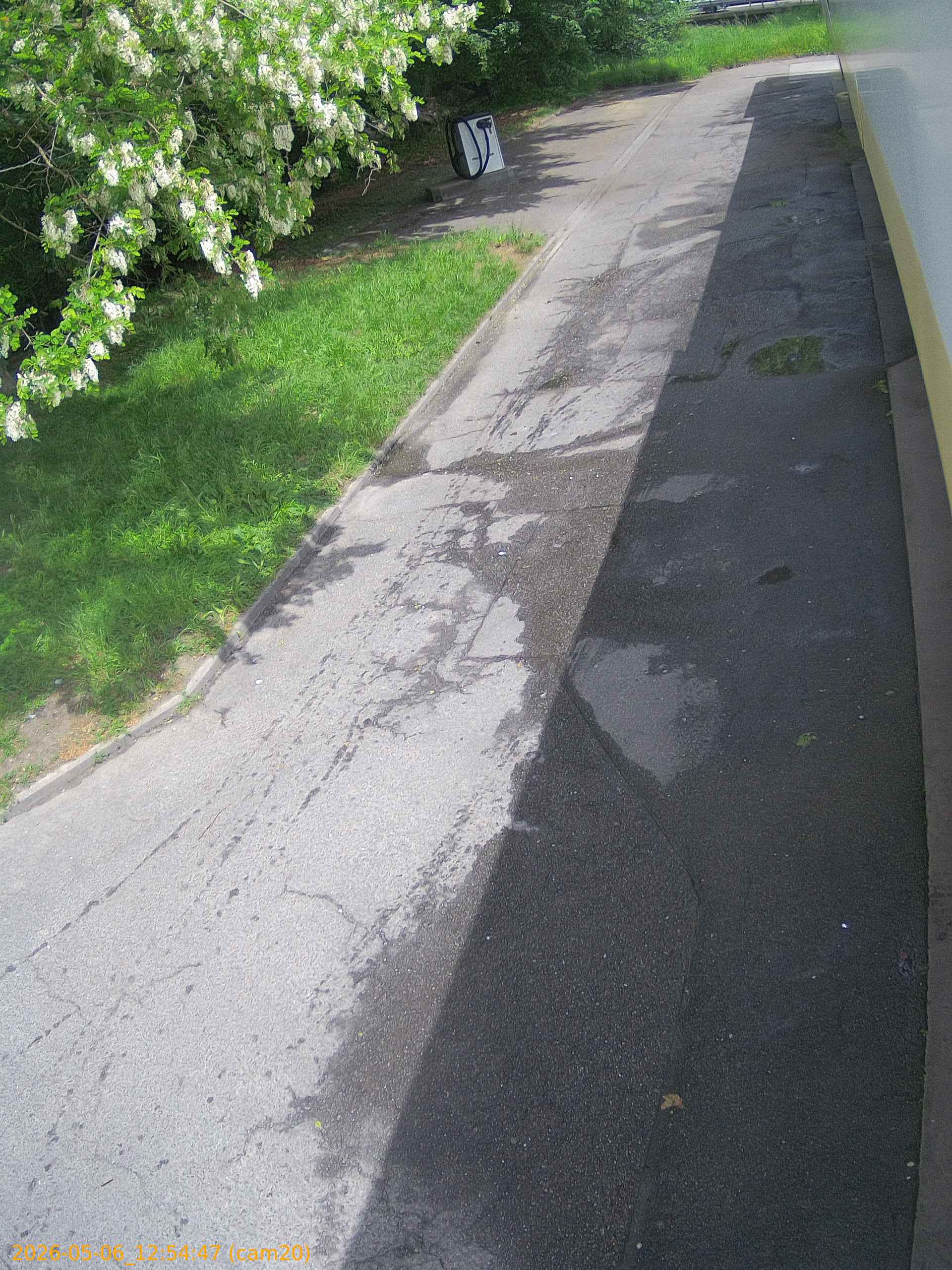 thumbnail_20260506125447