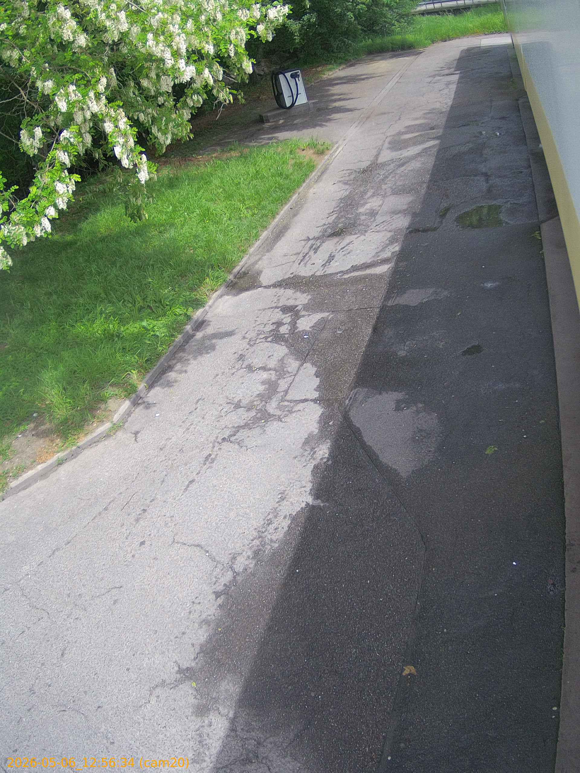 20260506125634