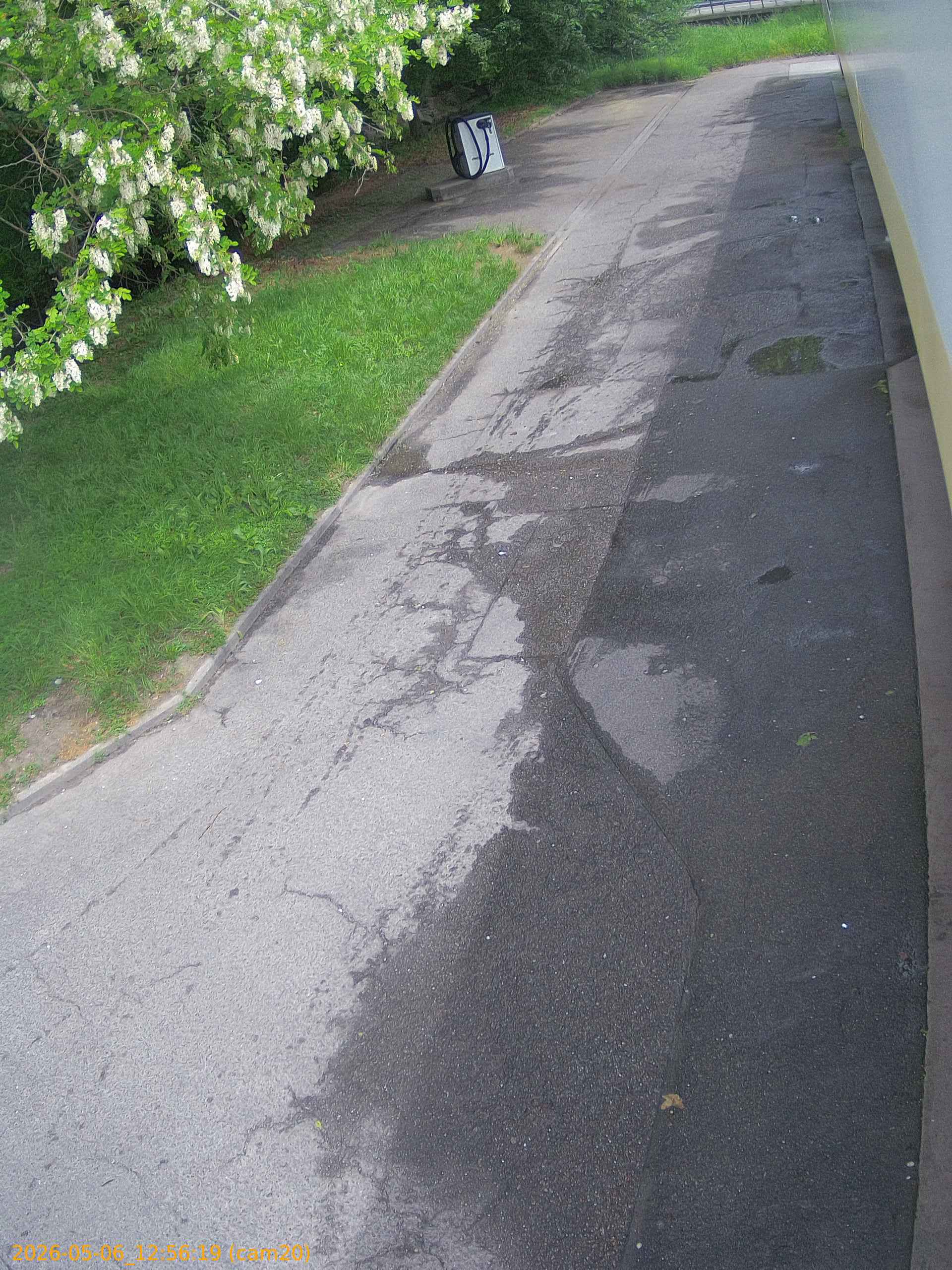 thumbnail_20260506125618