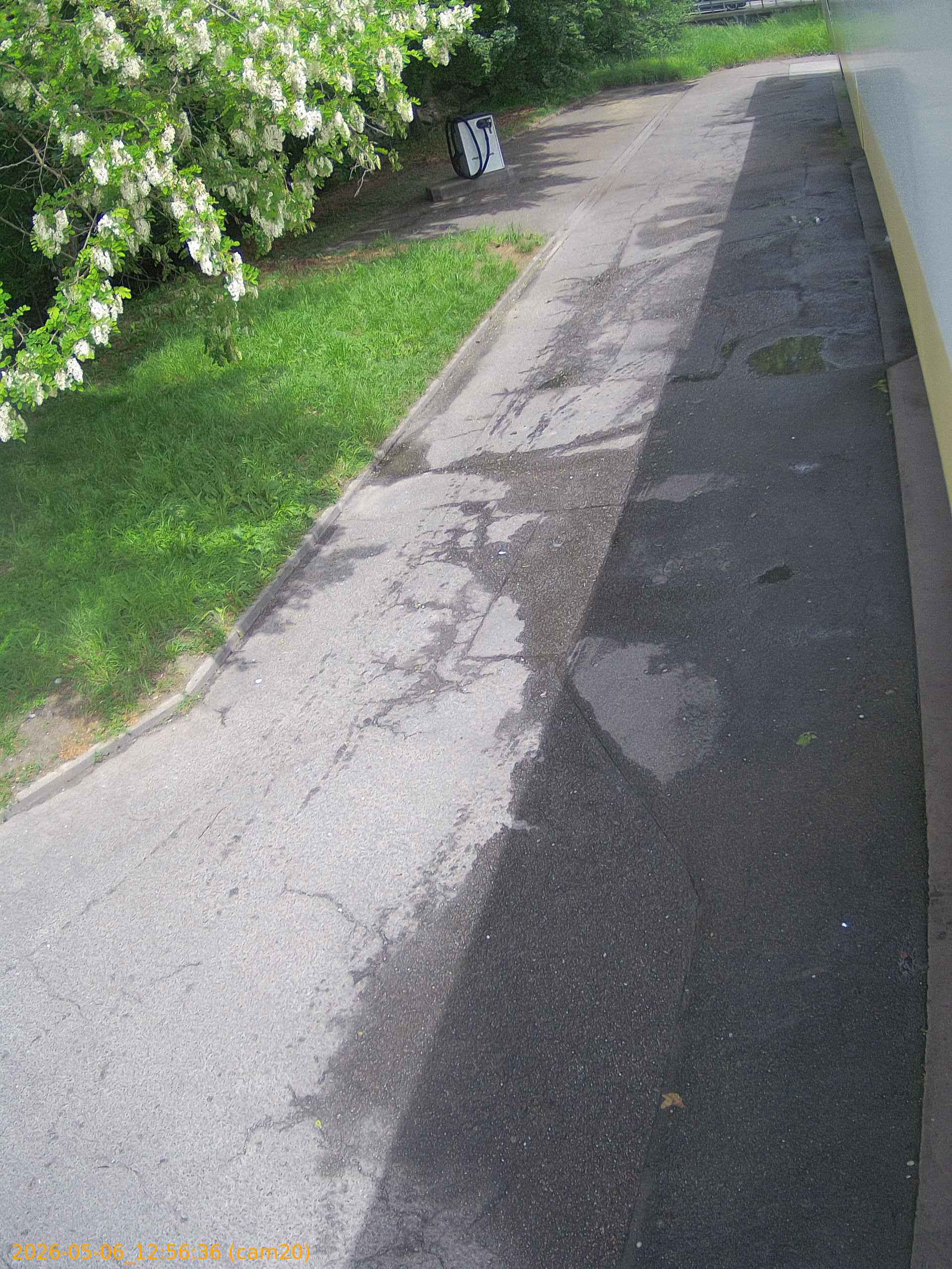 thumbnail_20260506125636