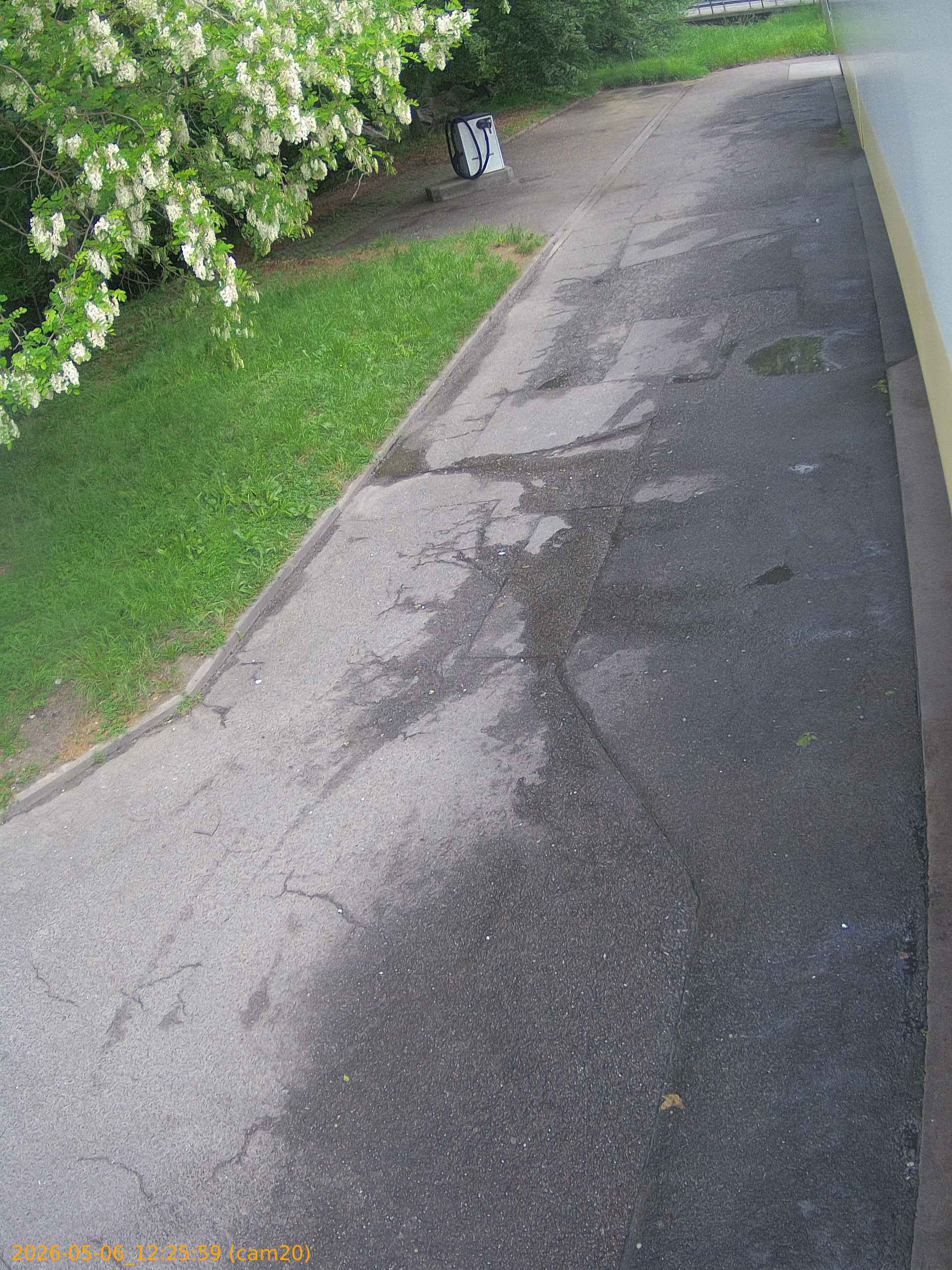 thumbnail_202605061225