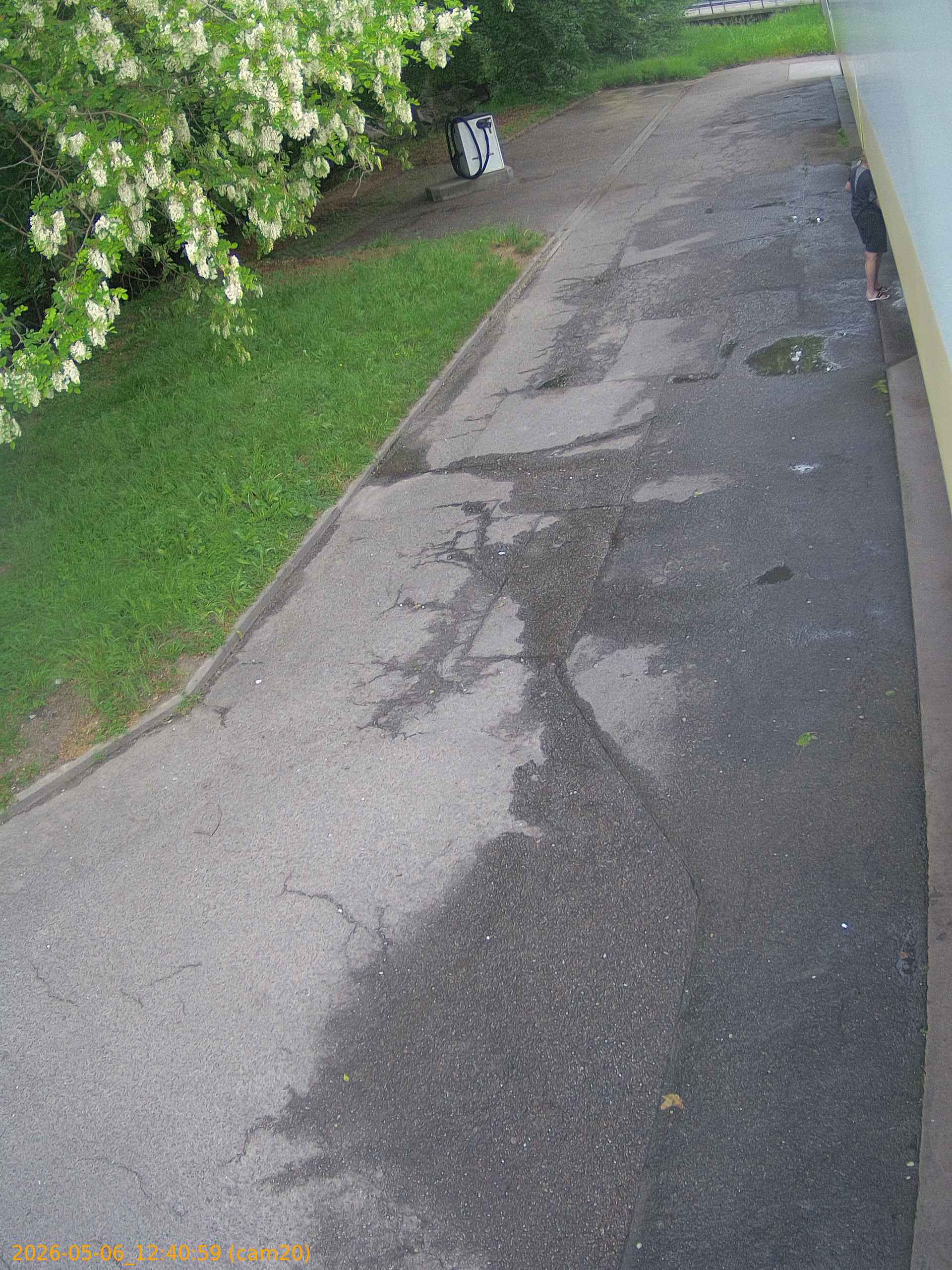 thumbnail_202605061240