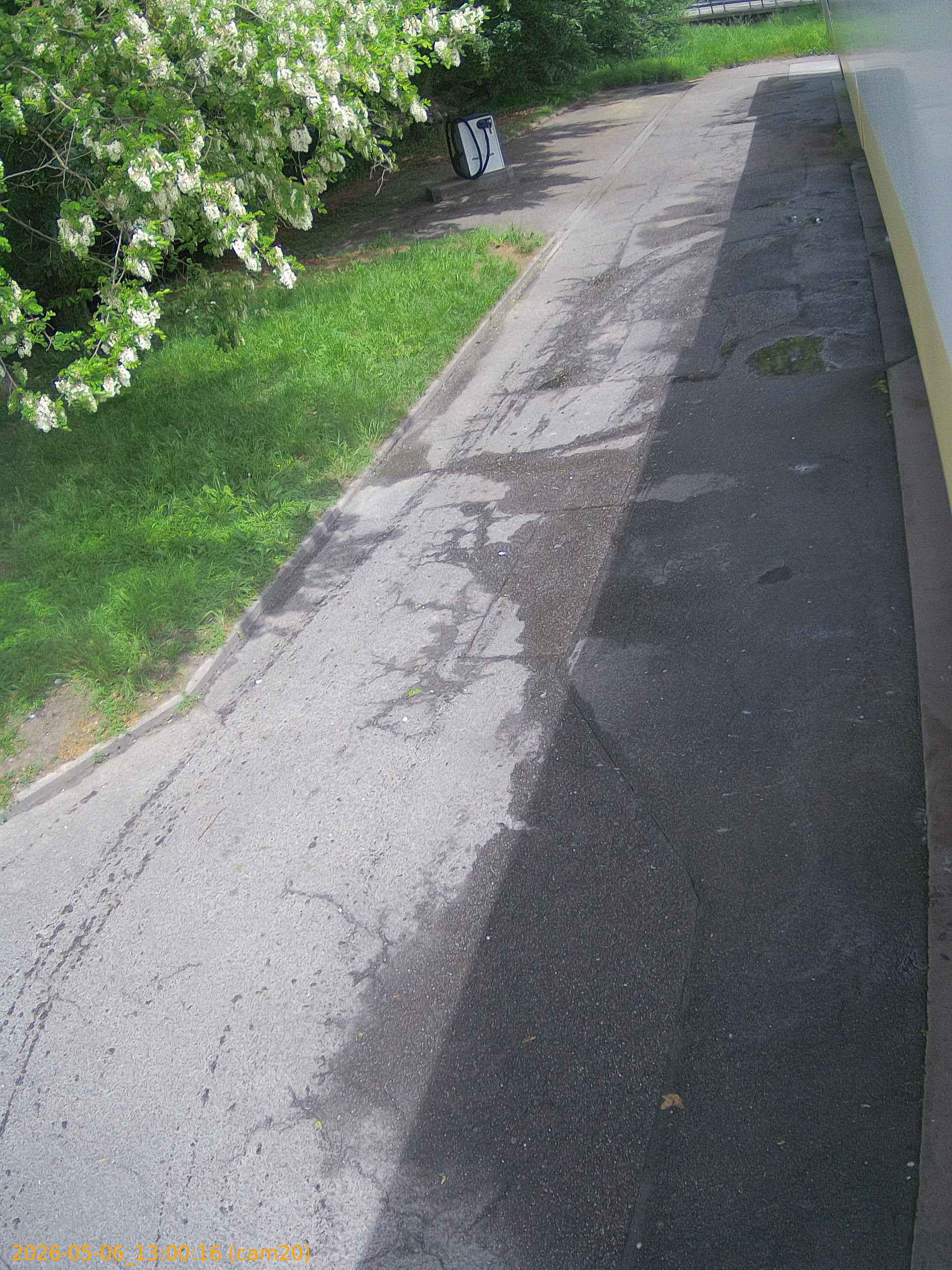 thumbnail_20260506130016