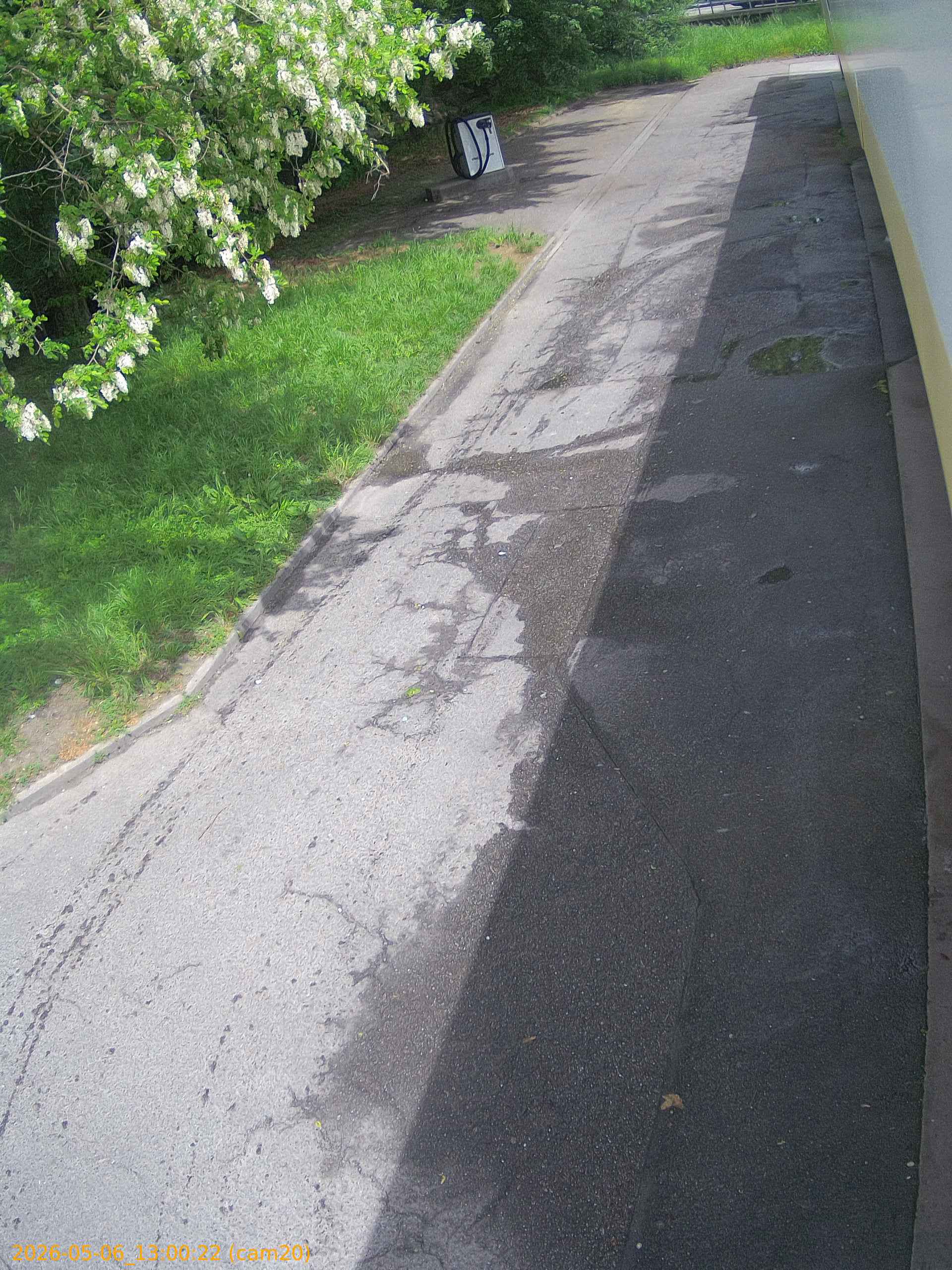 thumbnail_20260506130022