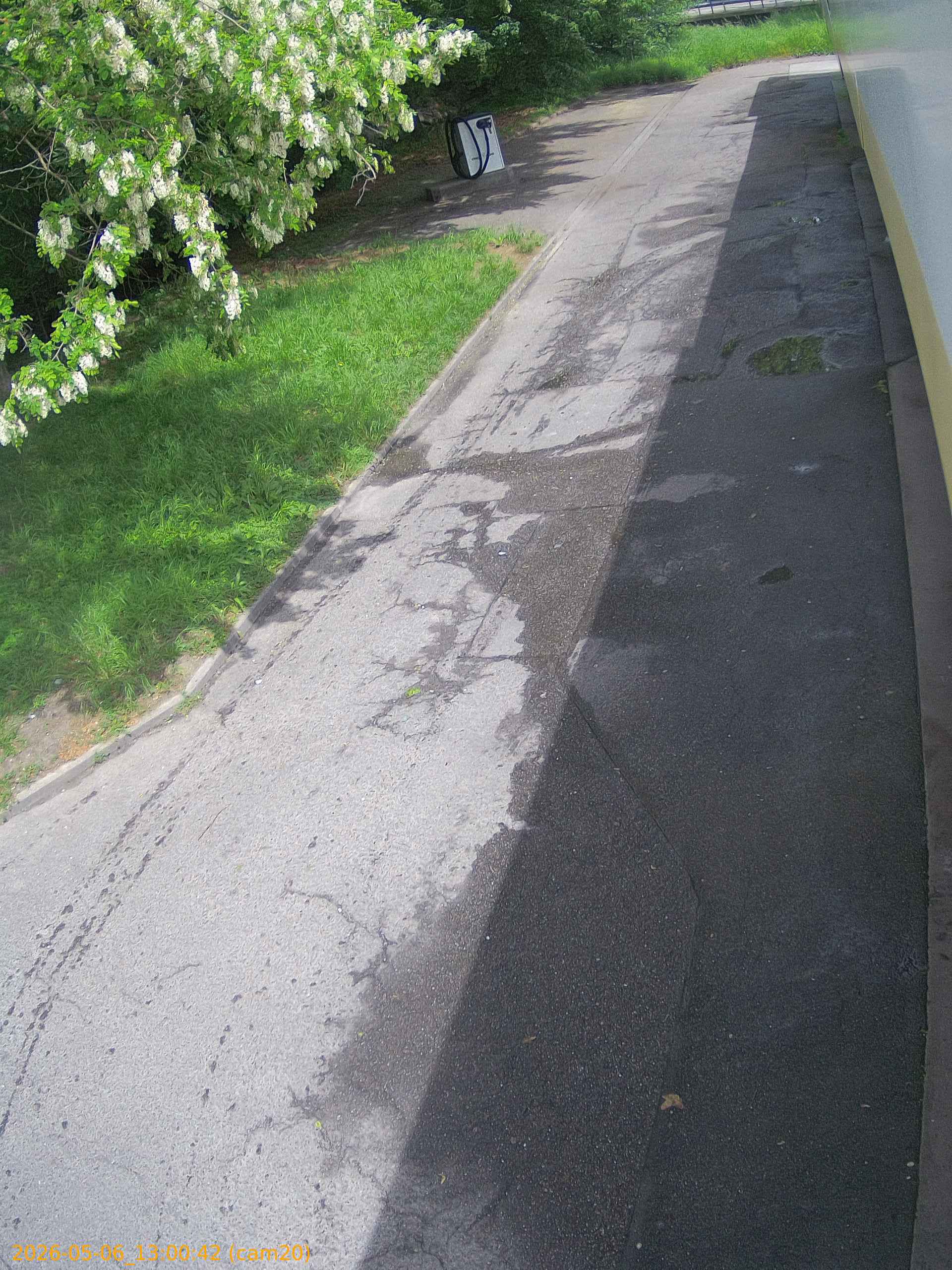 thumbnail_20260506130042