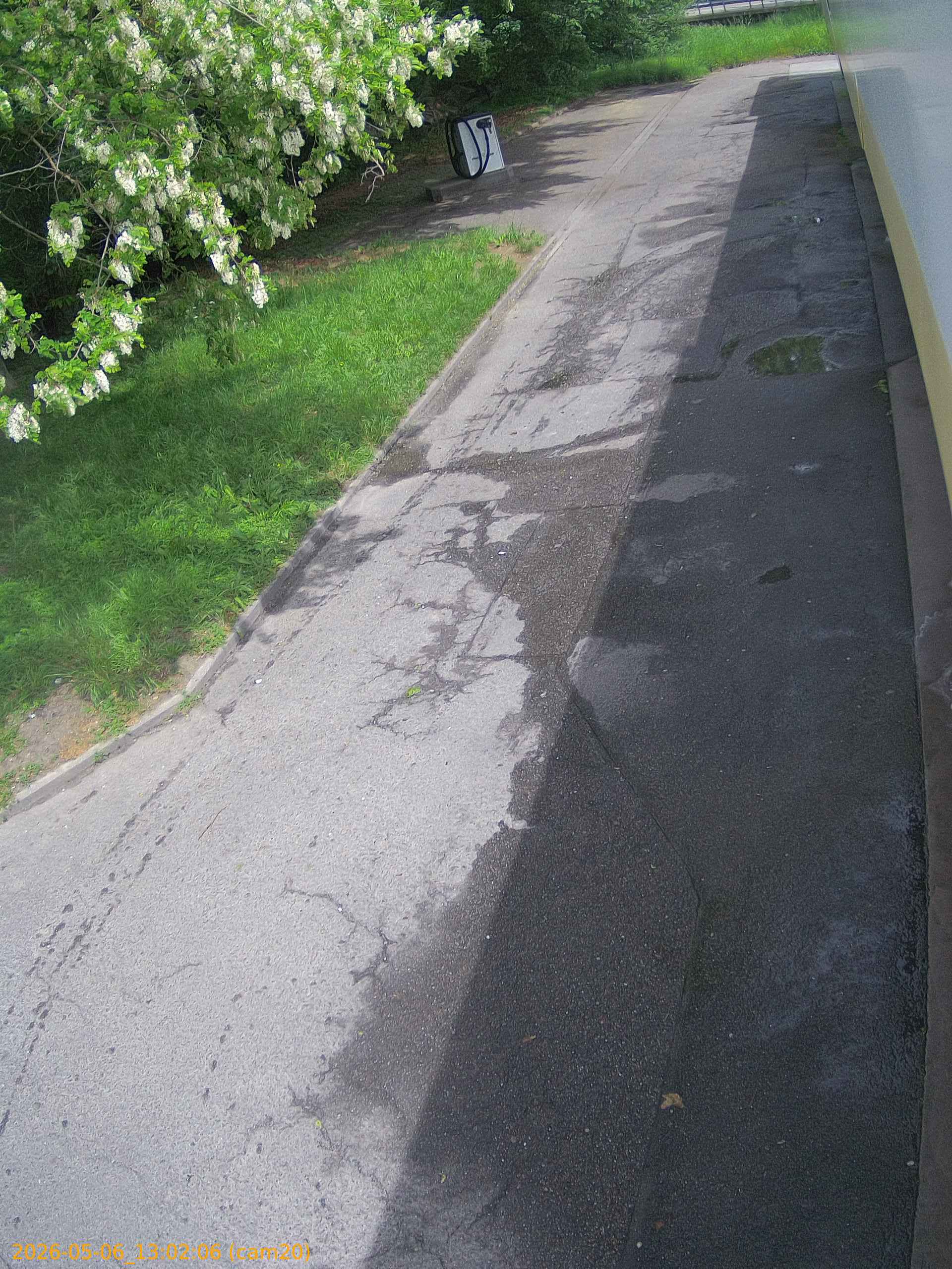 thumbnail_20260506130206