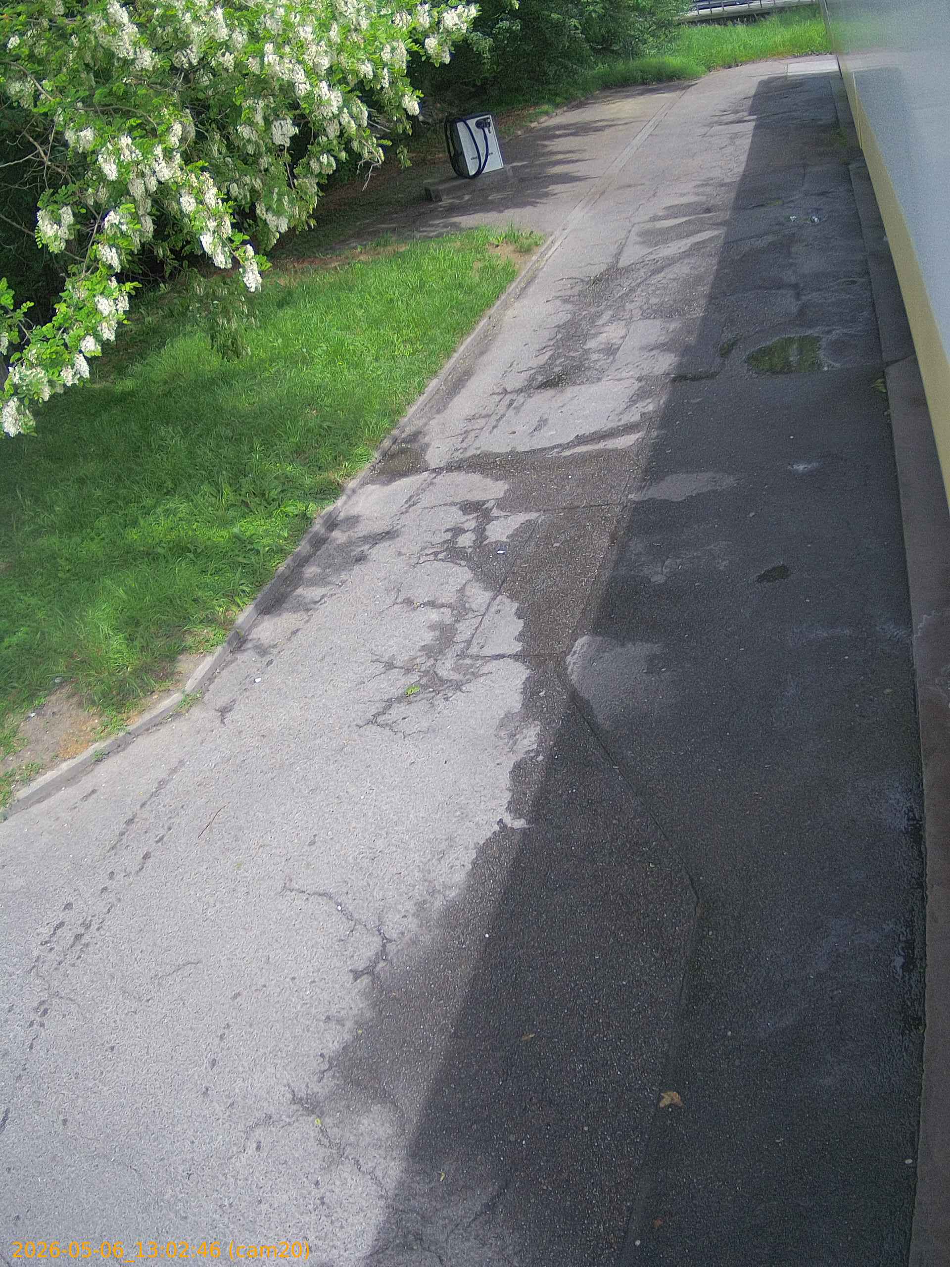 thumbnail_20260506130246