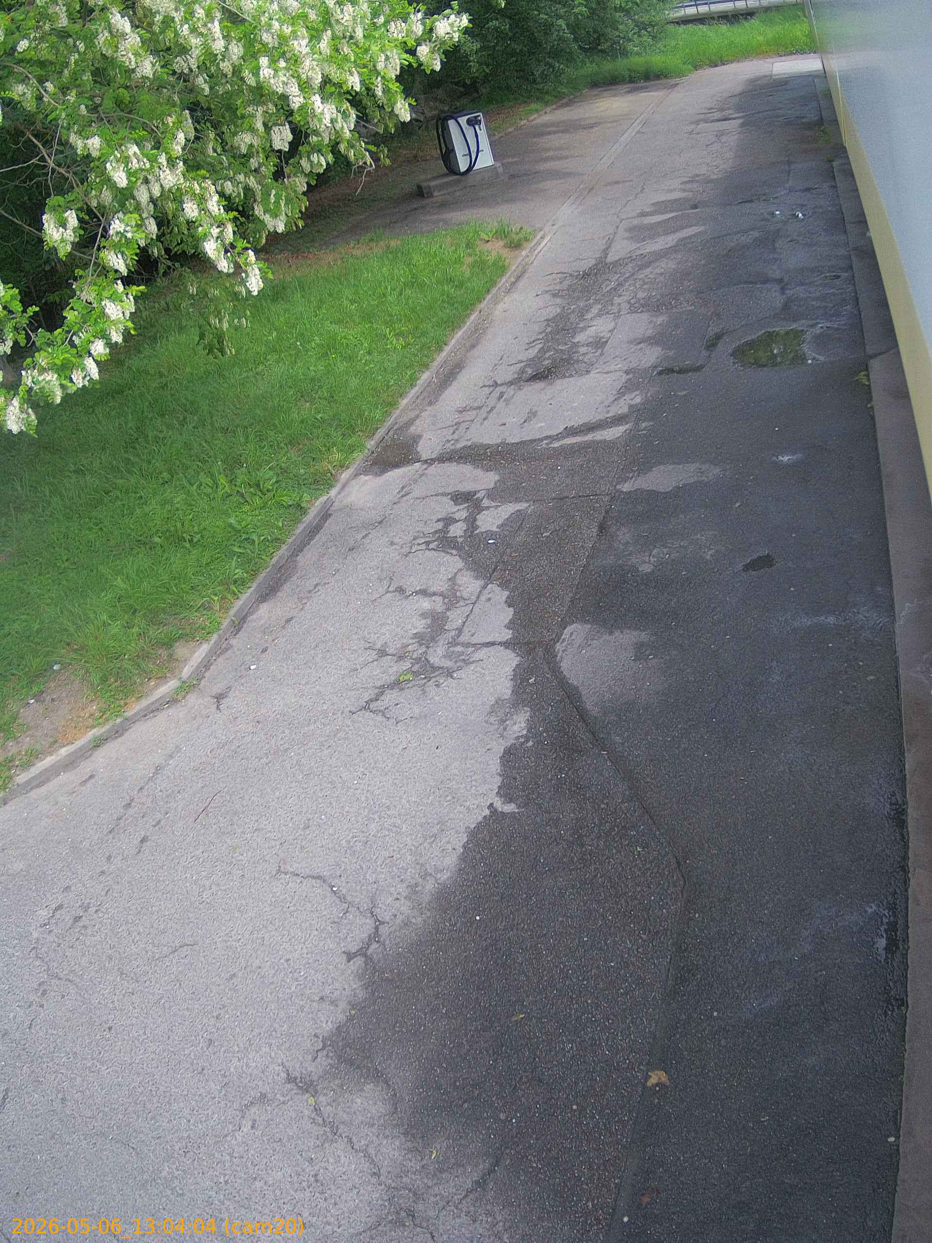 thumbnail_20260506130404