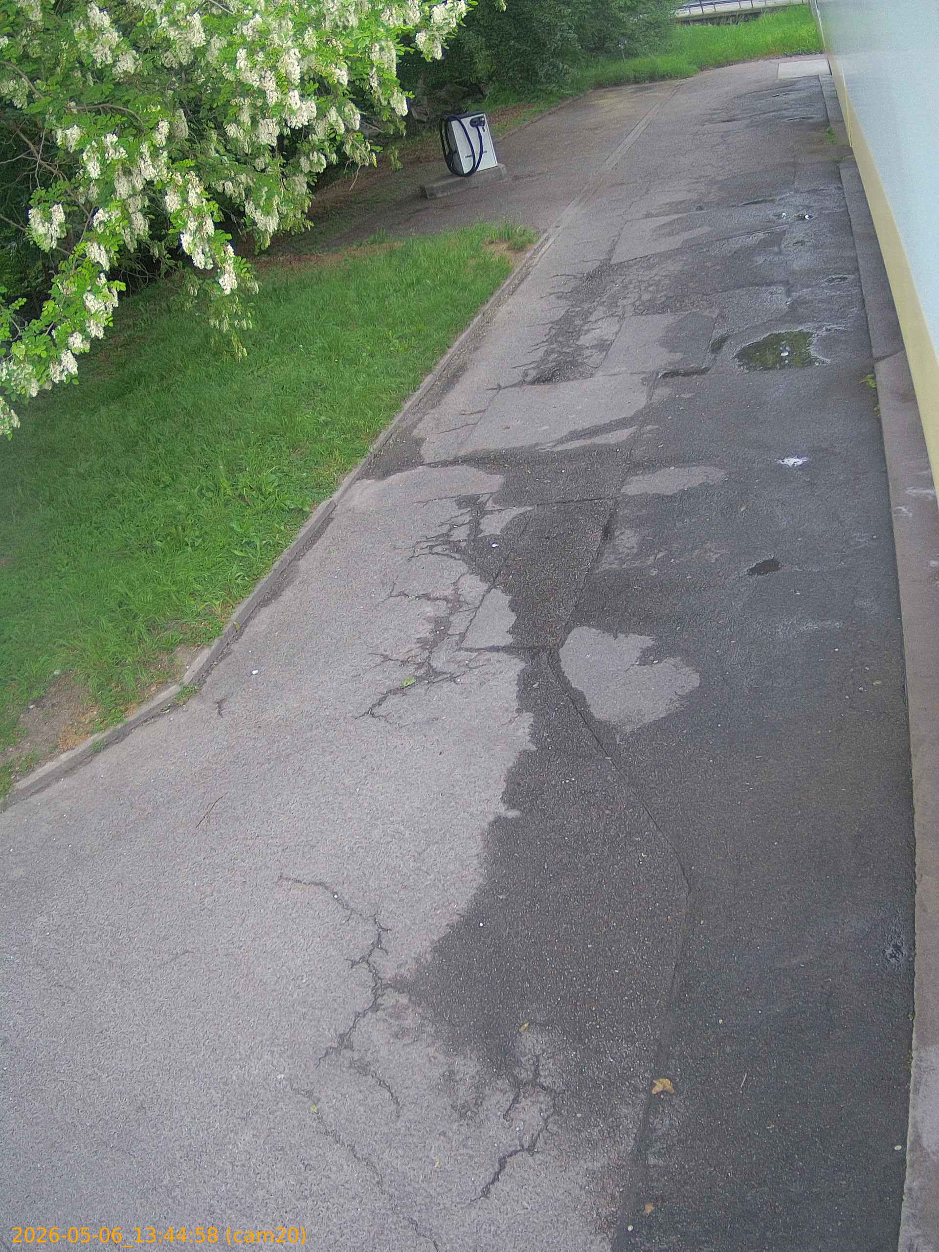 202605061344