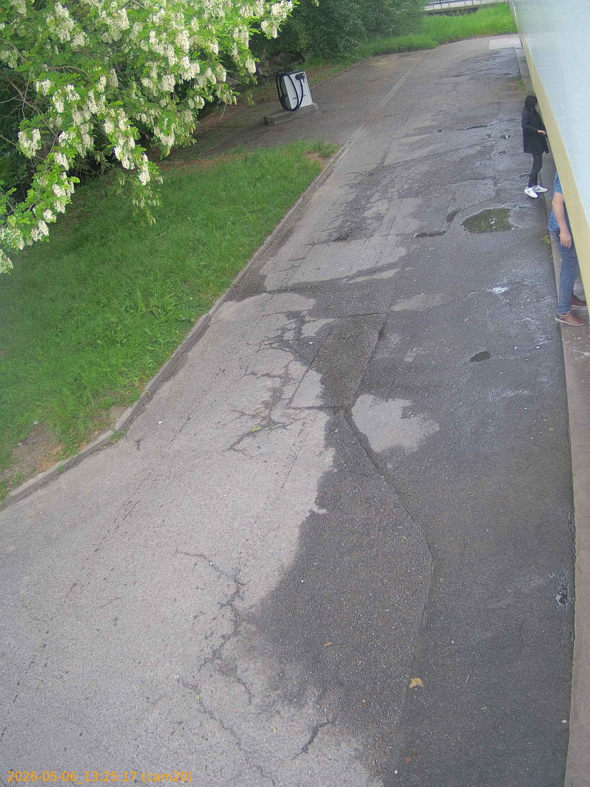 thumbnail_20260506132517