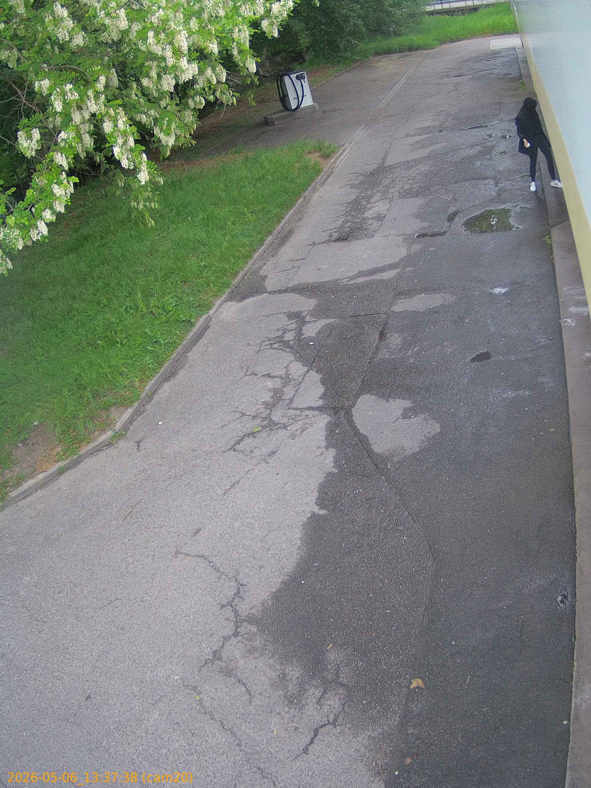 20260506133738