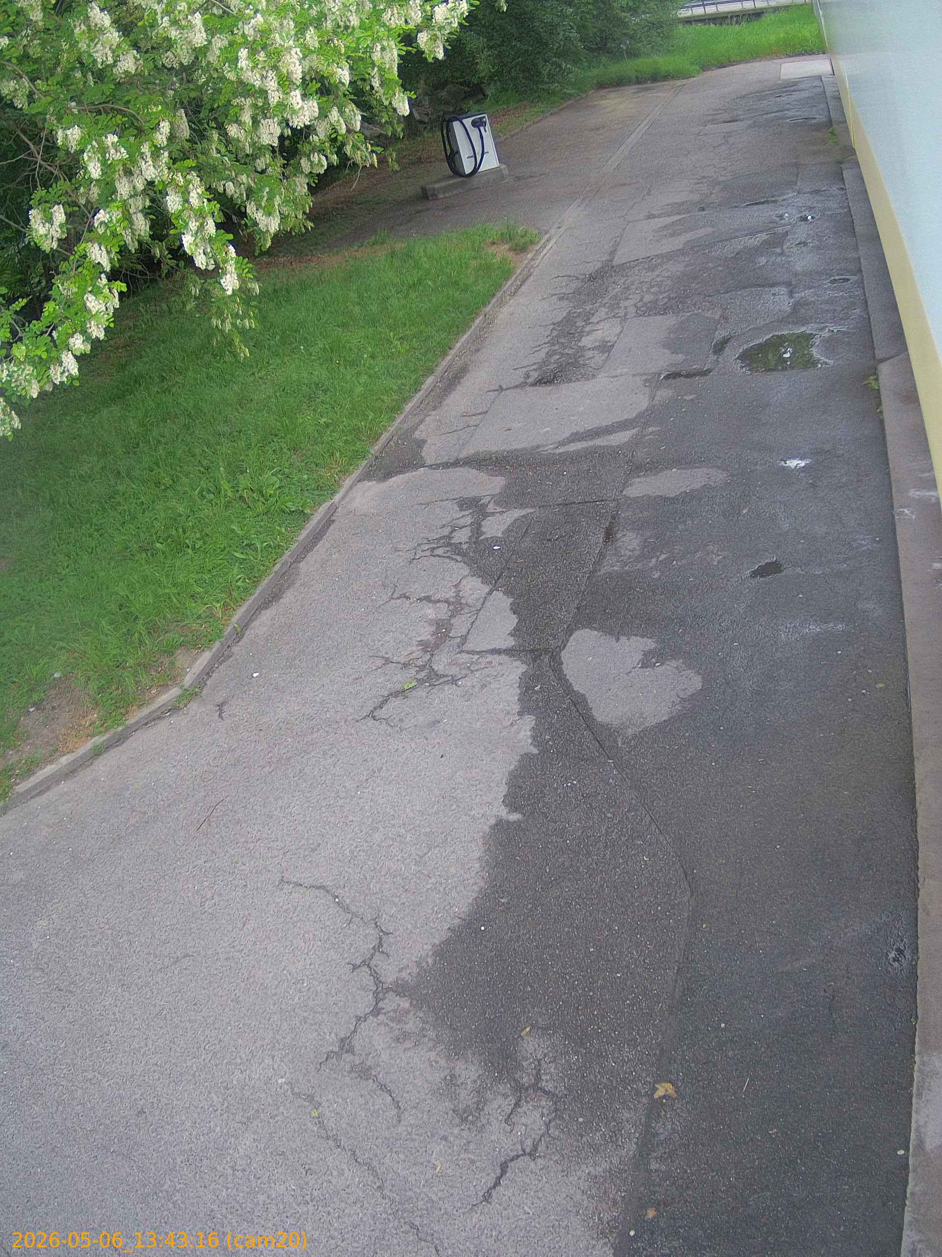 20260506134316