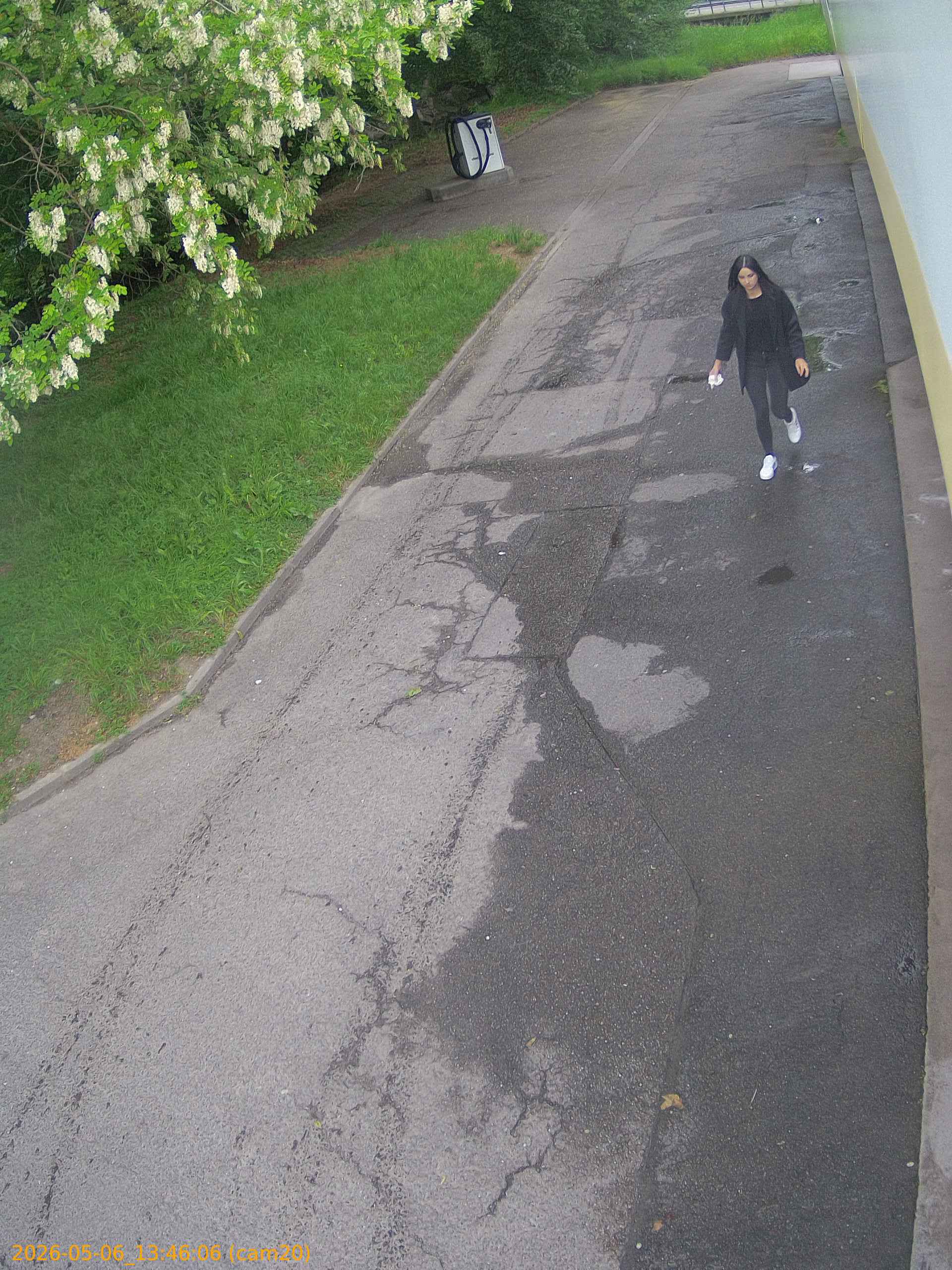 20260506134606