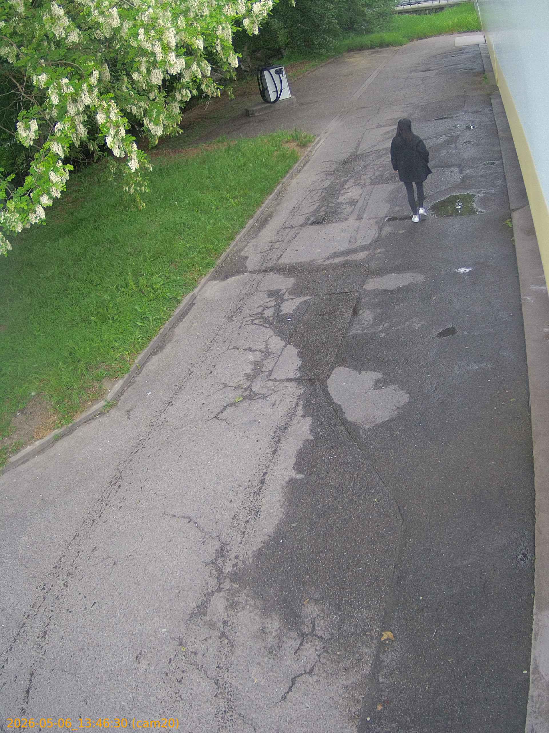 20260506134630