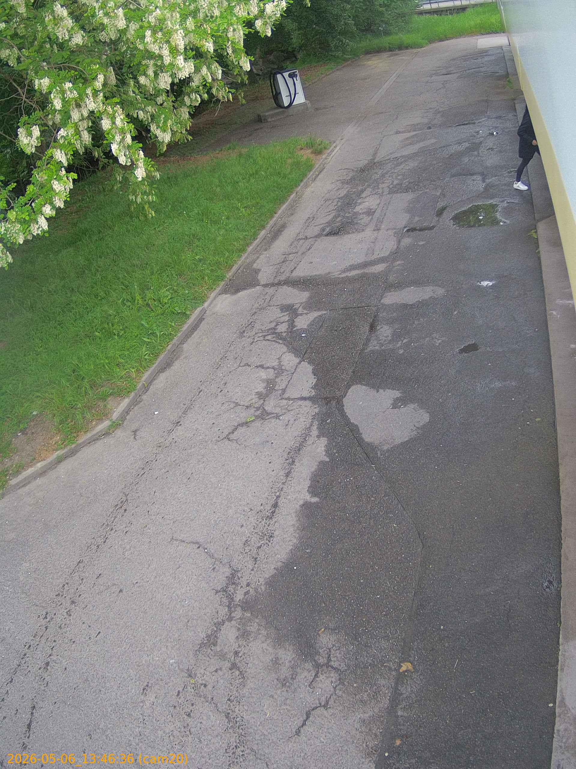 20260506134636