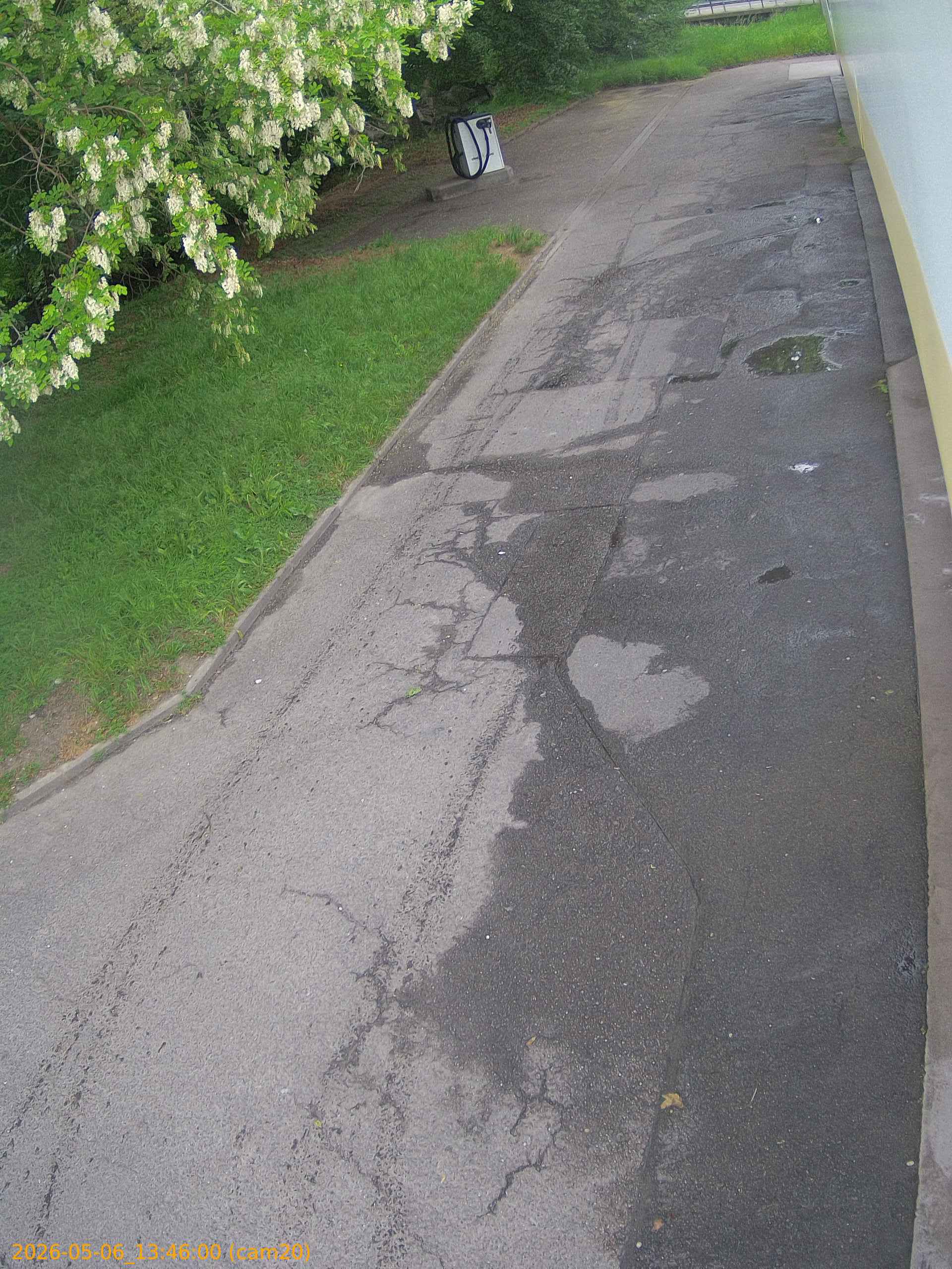 thumbnail_20260506134600