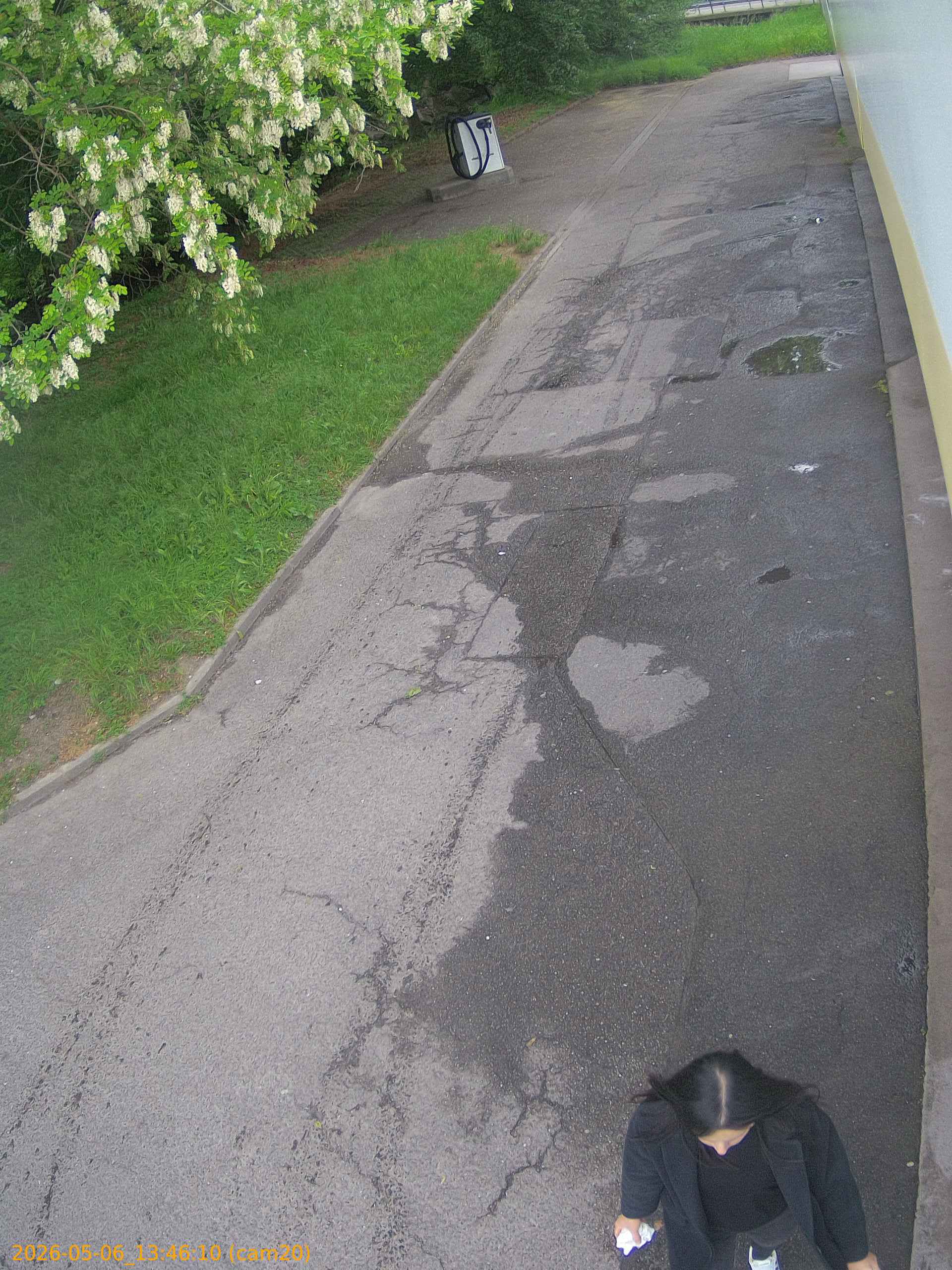 thumbnail_20260506134610