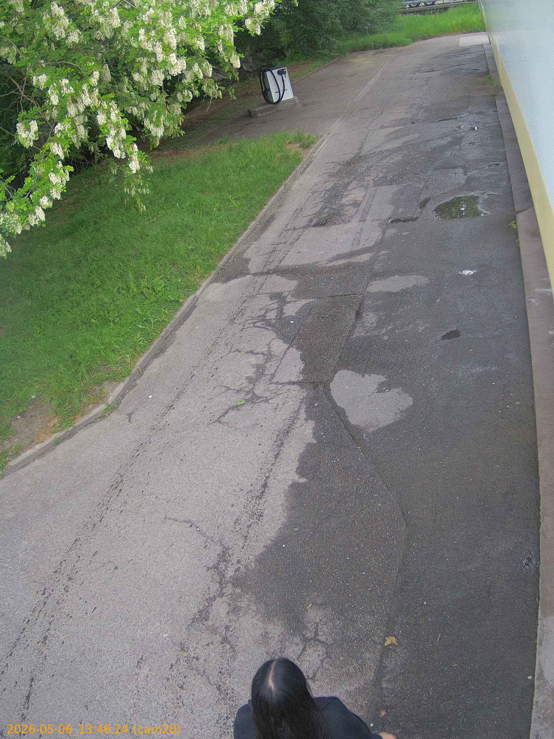 thumbnail_20260506134624
