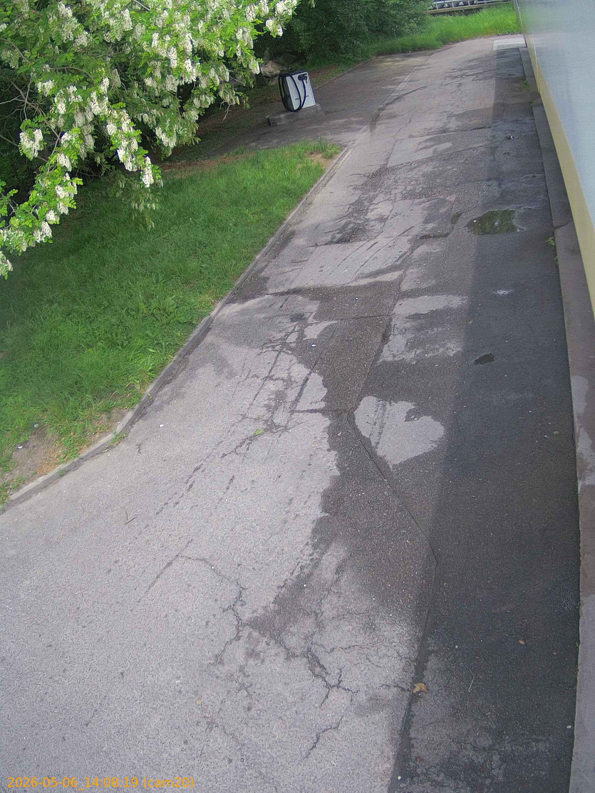 thumbnail_20260506140819