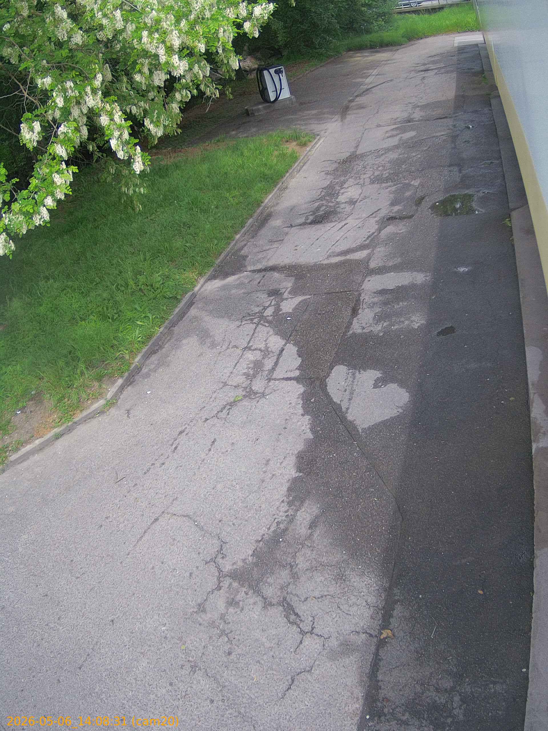 thumbnail_20260506140831