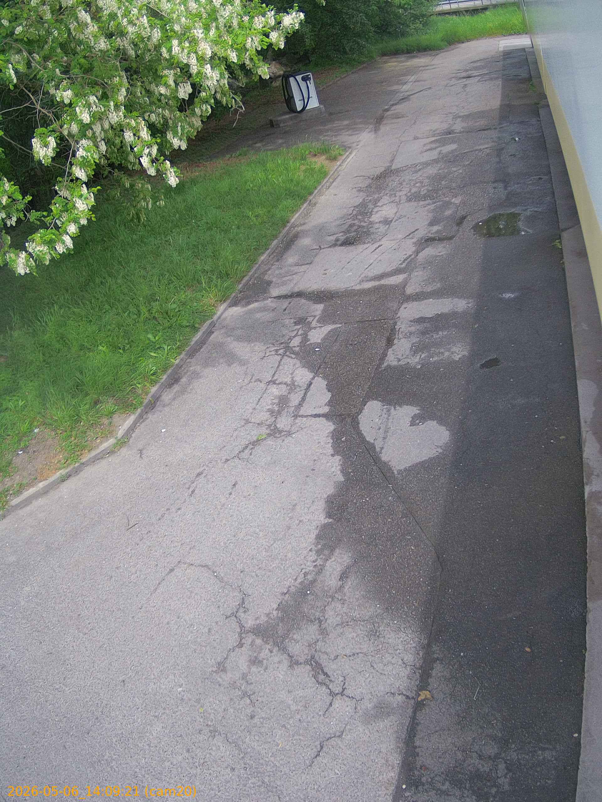 thumbnail_20260506140921