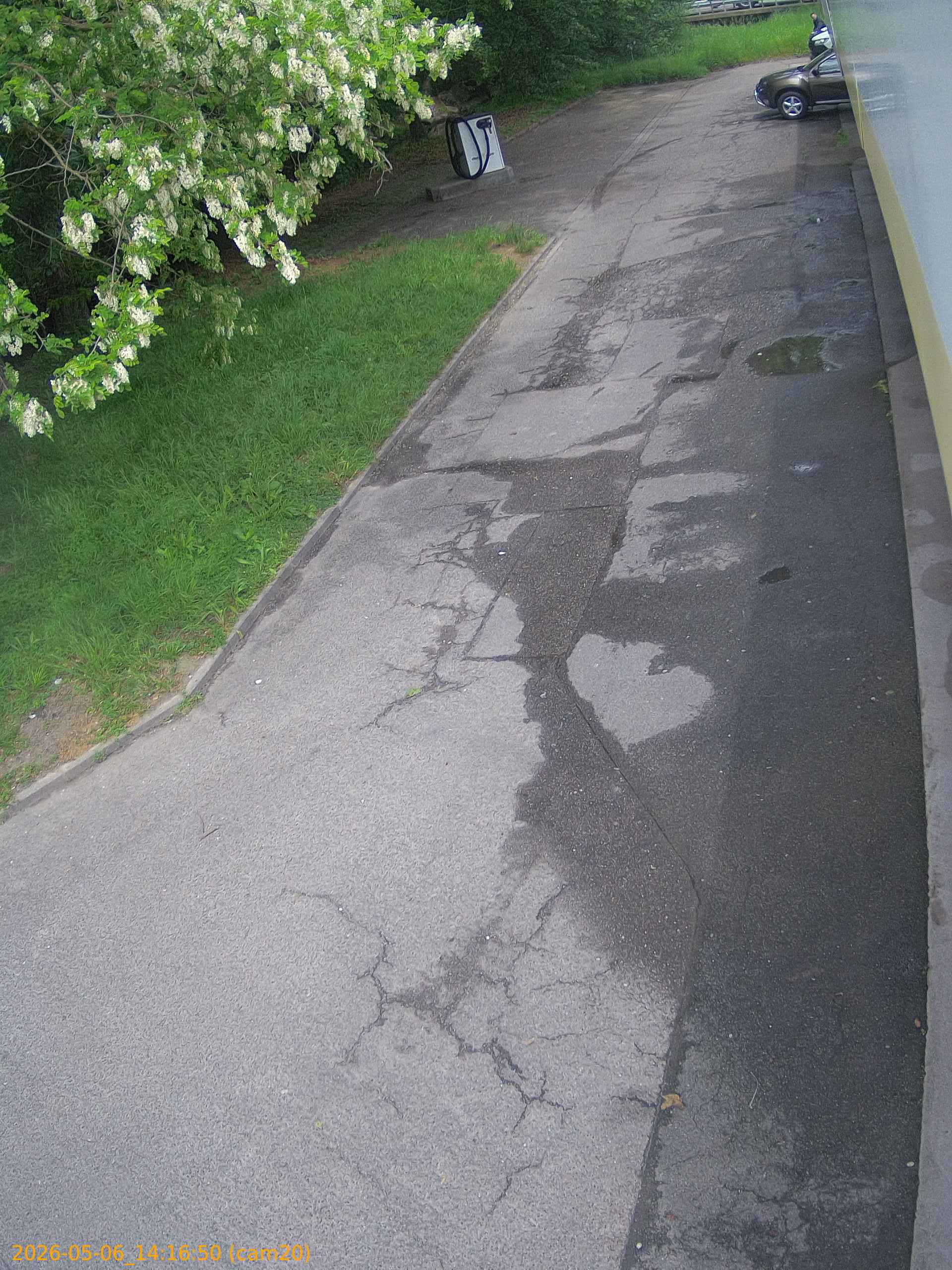 thumbnail_20260506141650